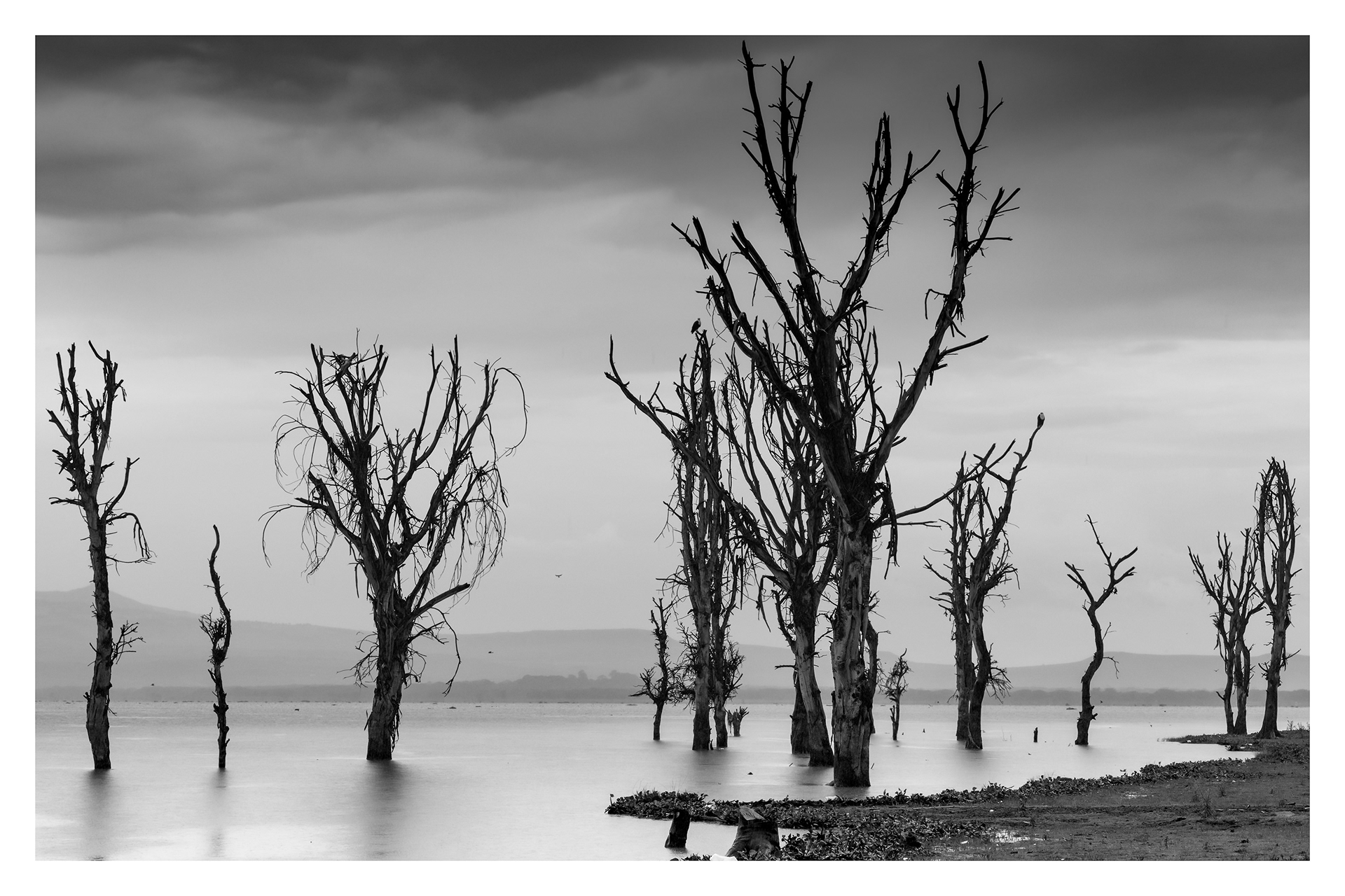 Rising water levels, Lake Naivasha, Kenya