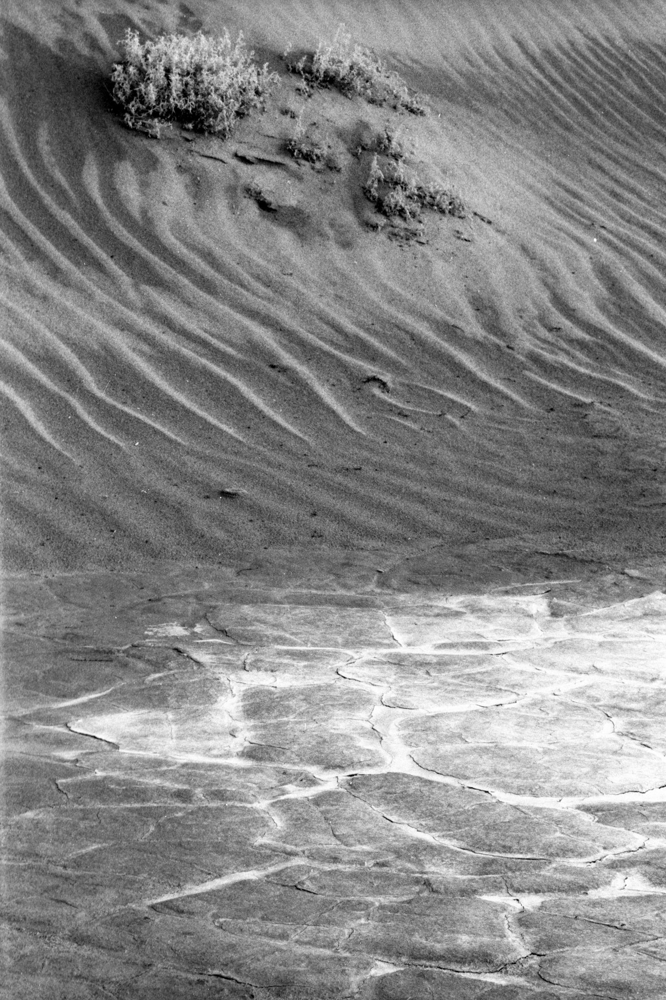 Death Valley Dunes