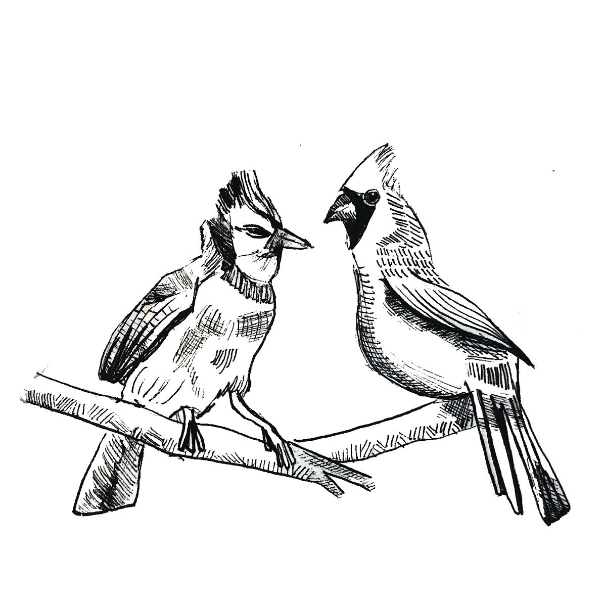 Feathered