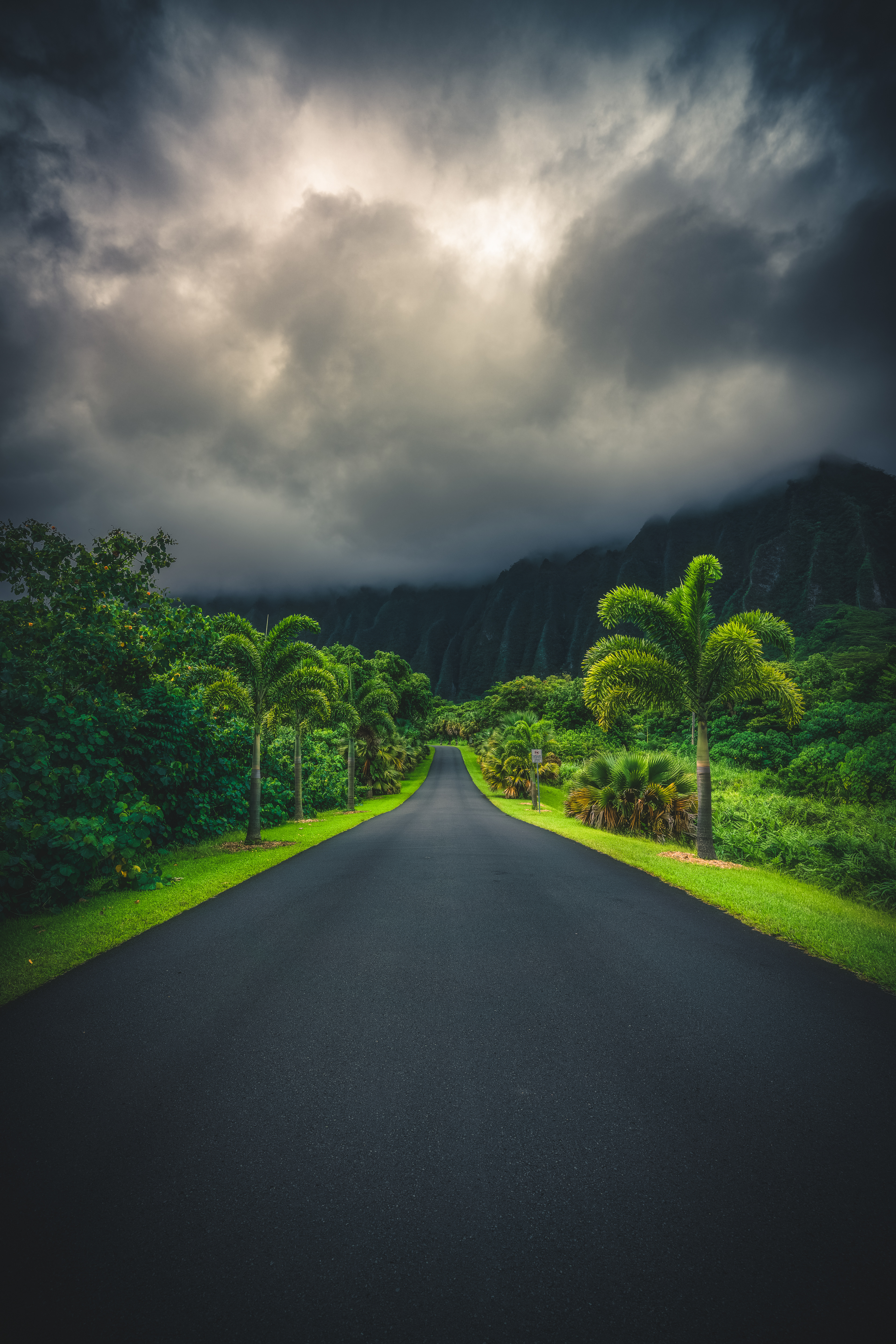 Ho'Omaluhia Botanical Garden - Oahu
