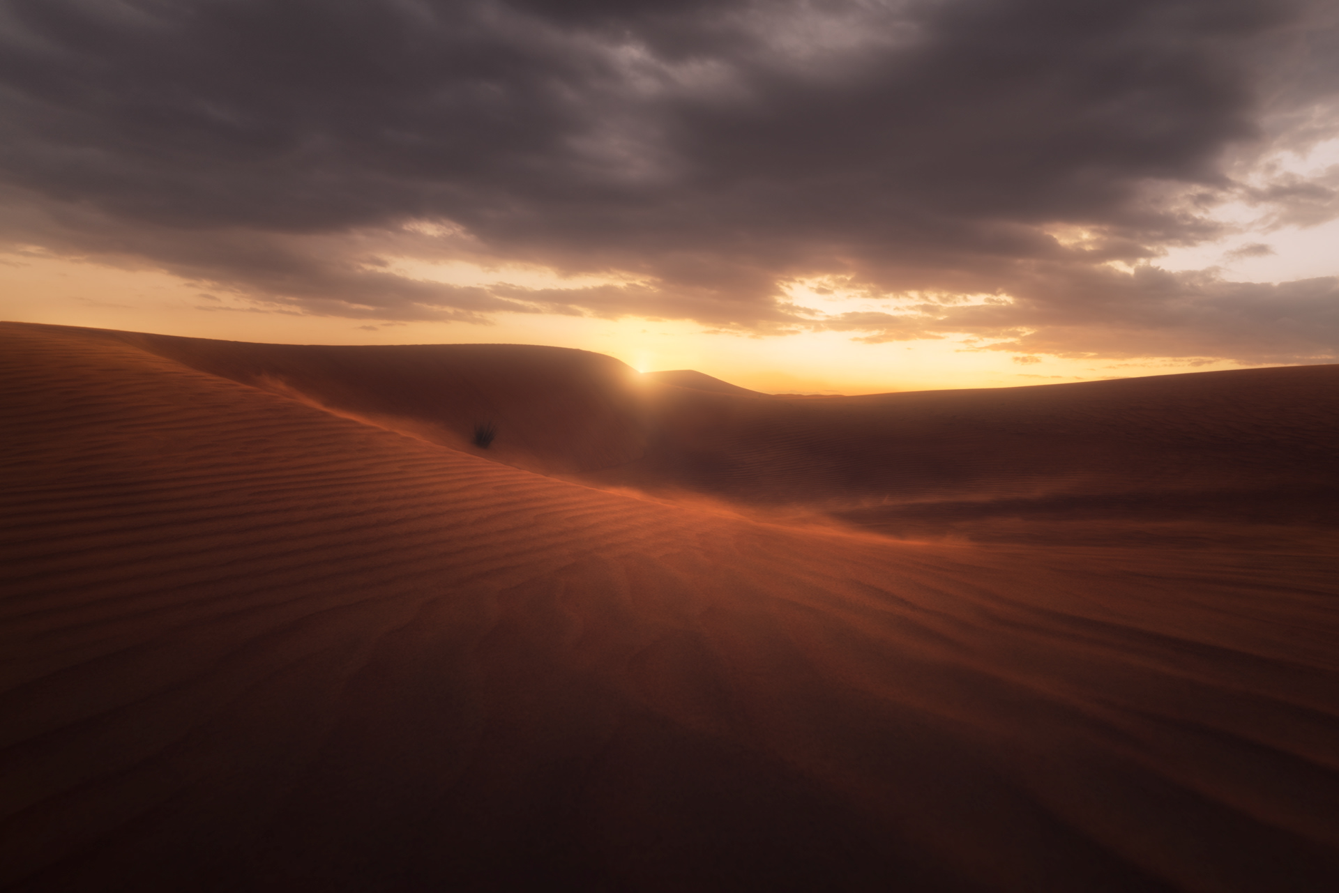 Bidiyah Desert
