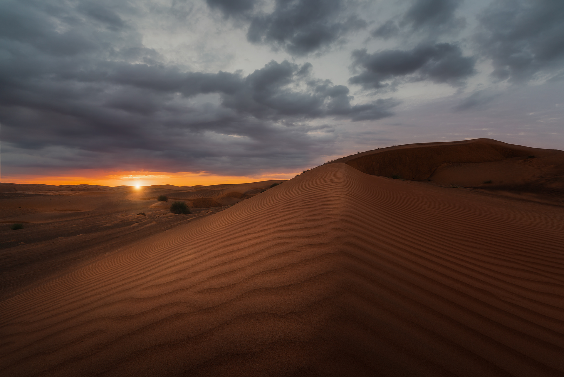 Bidiyah Desert