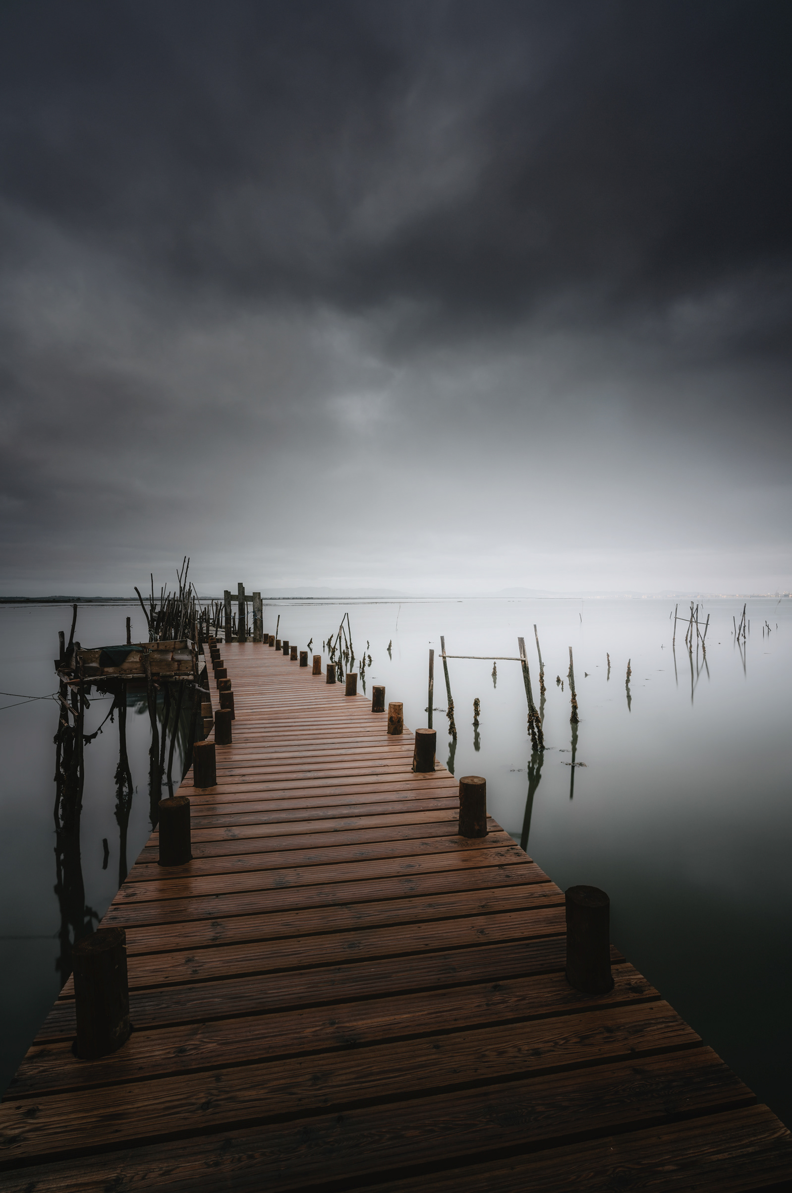 Carrasqueira - Alentejo