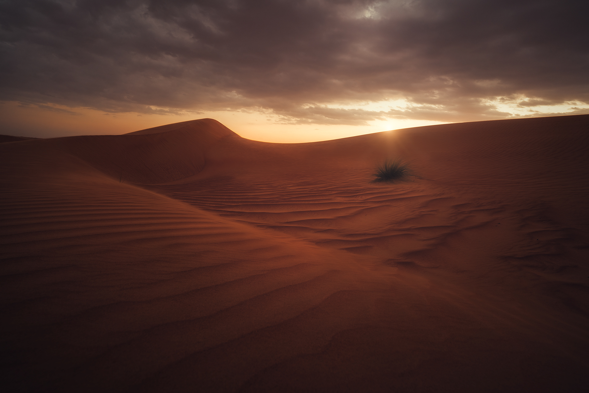 Bidiyah Desert