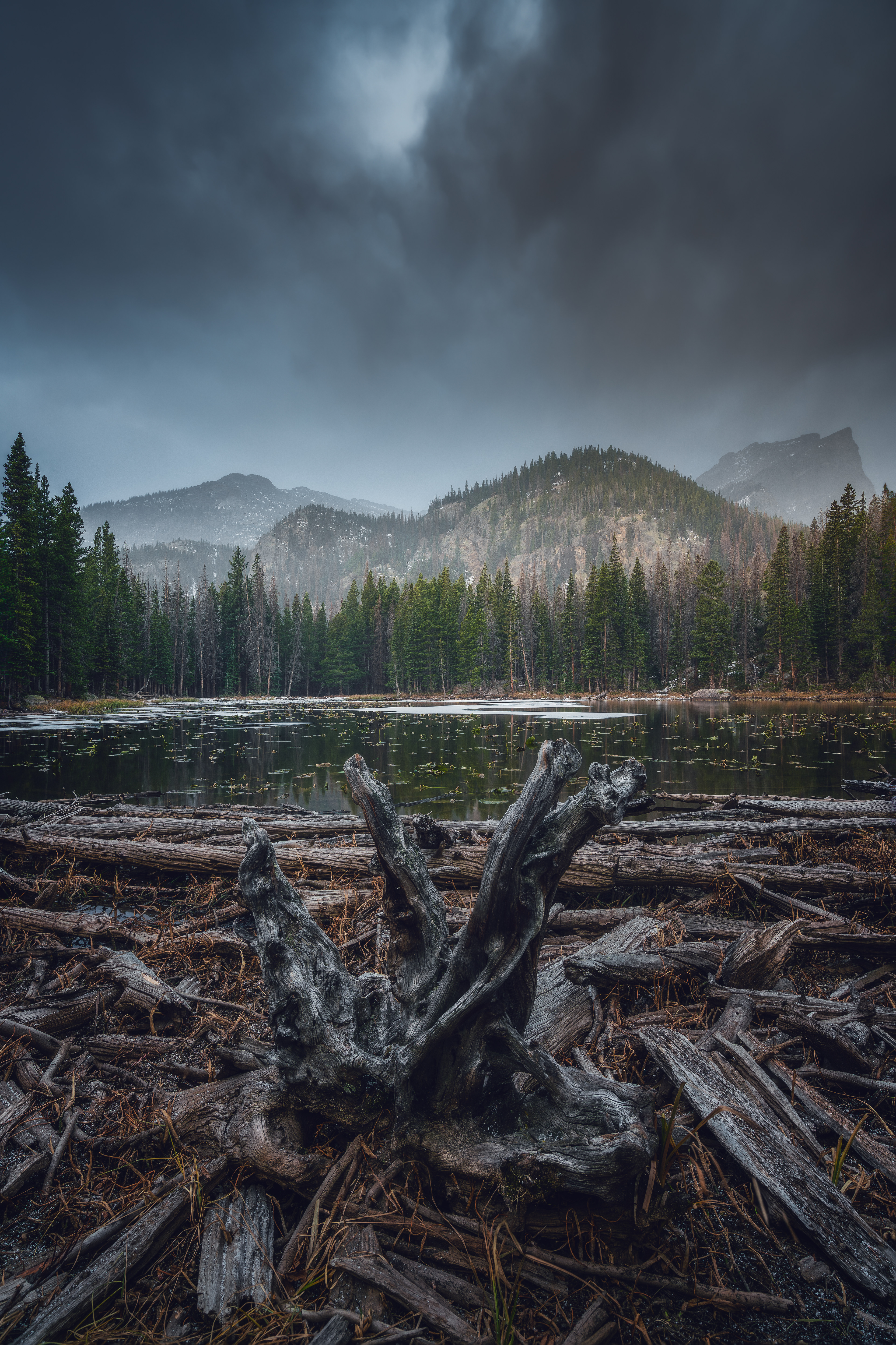 Nymph Lake - Colorado
