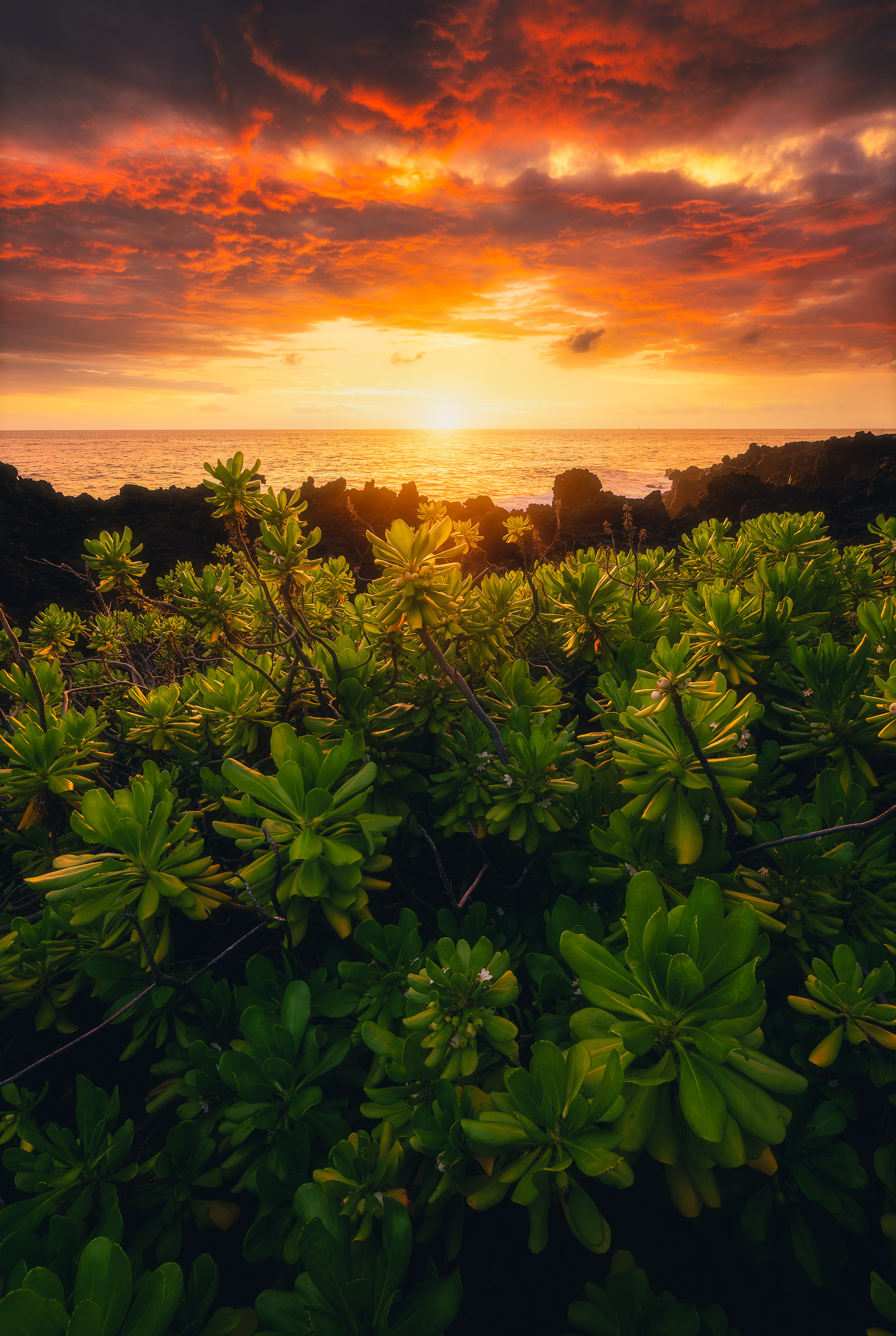 Keauhou Bay - Big Island