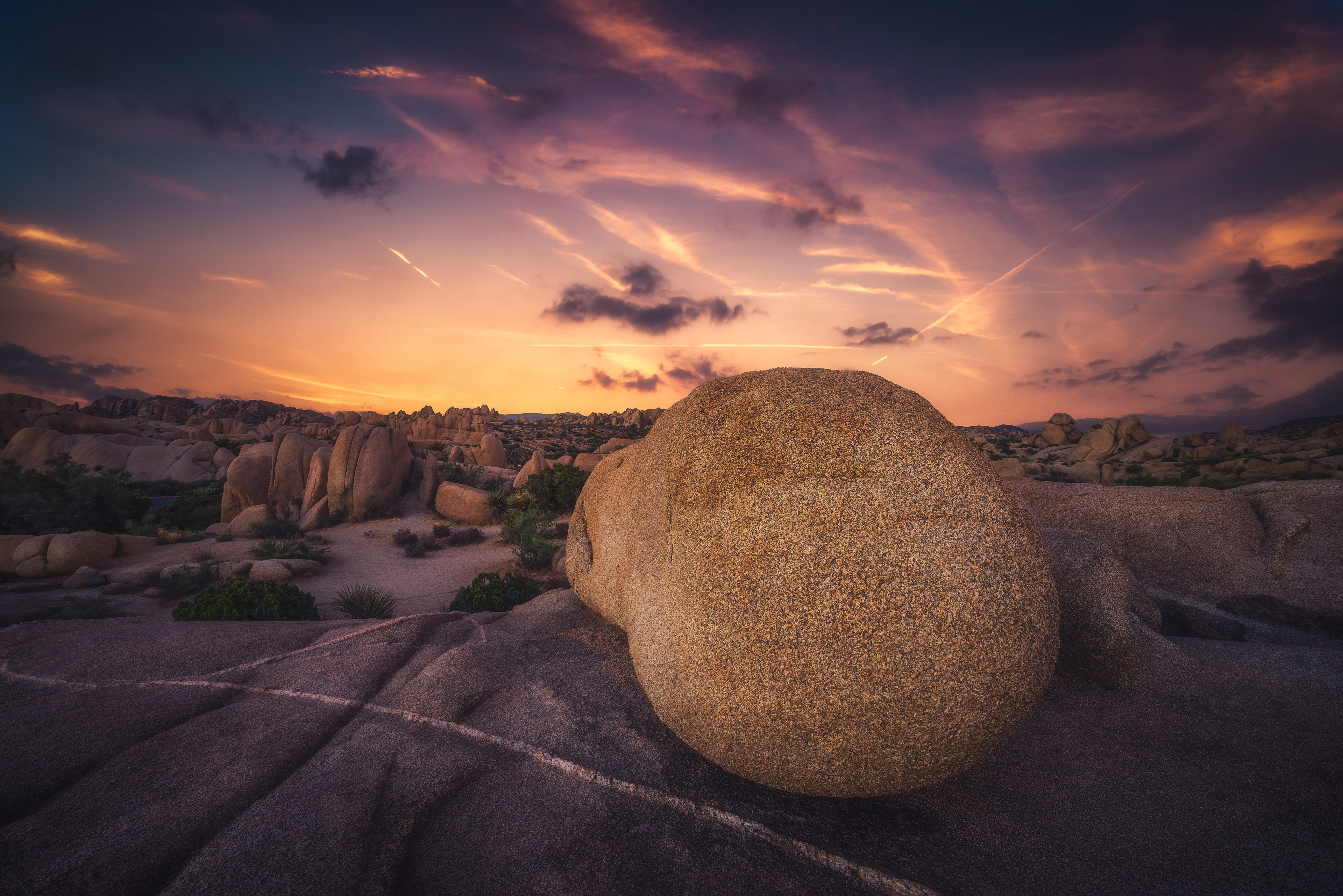 Joshua Tree National Park