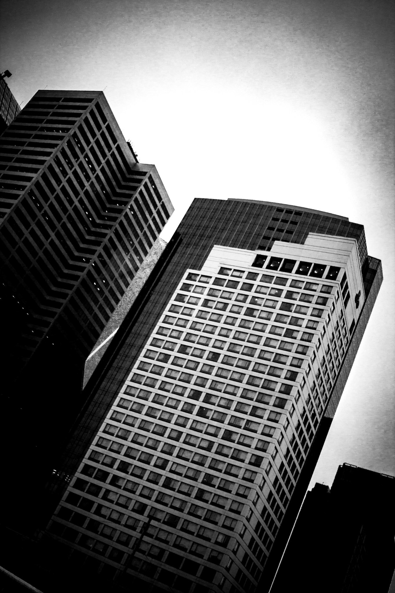 Monochrome Seattle Skyscrapers