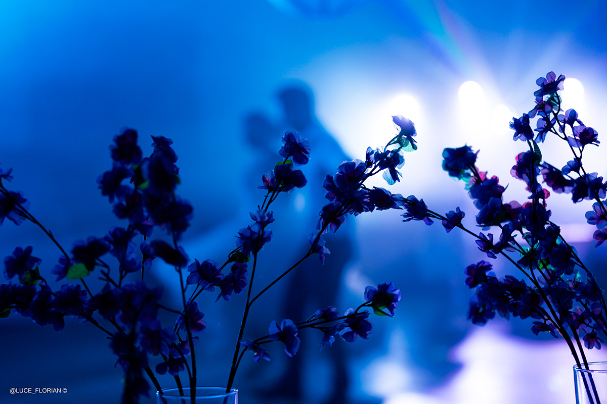 Portrait de la mariée — naturel et lumière