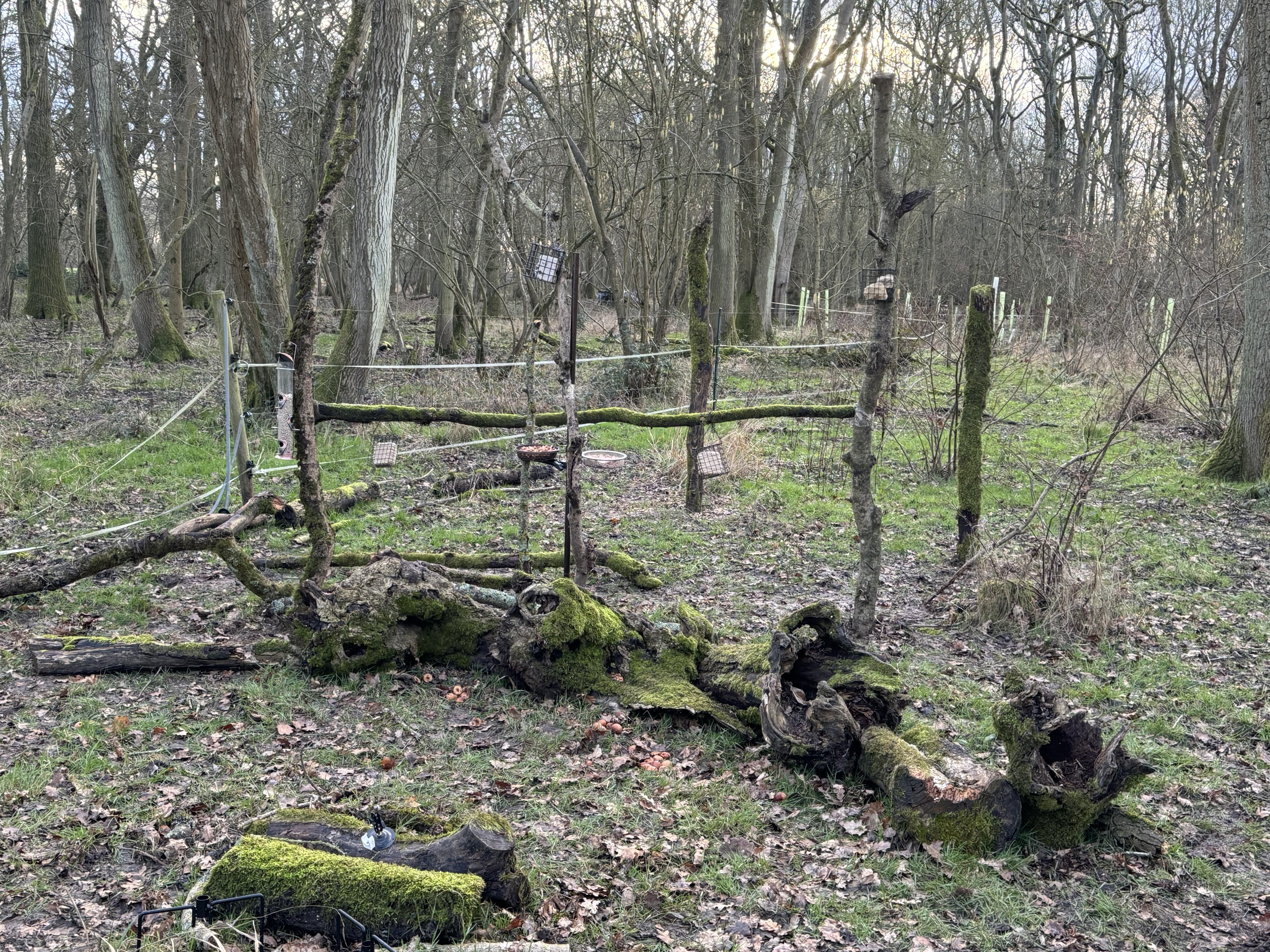 The relentless rain has hampered the start, but we continue to work towards our goal