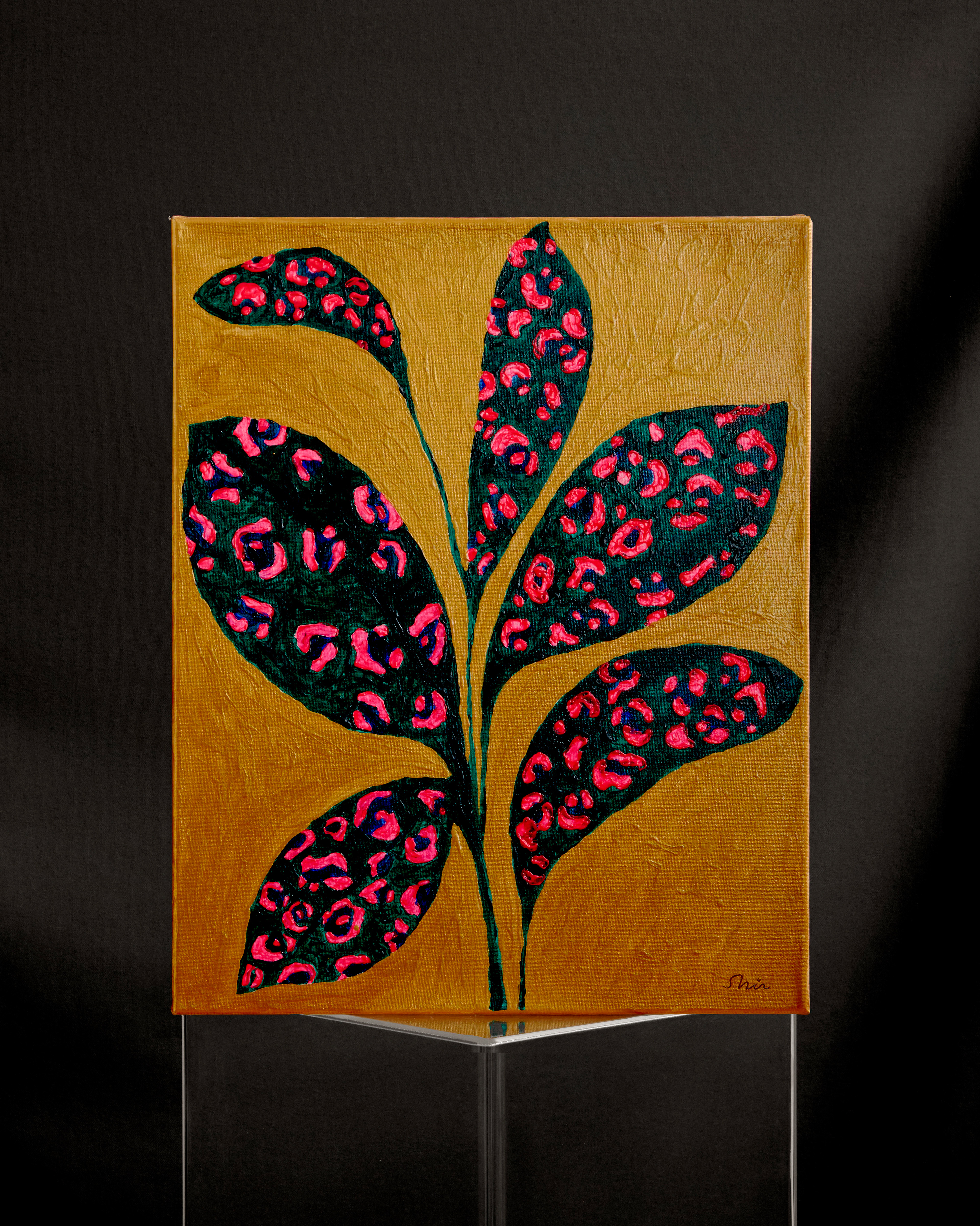 SHE WEARS TIGHTS 16"x 20"