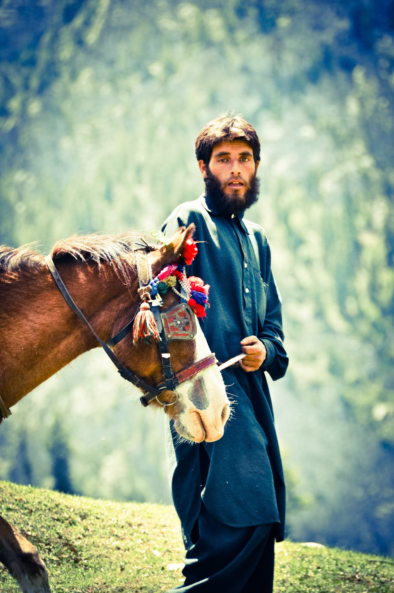 Horse rider in Kashmir