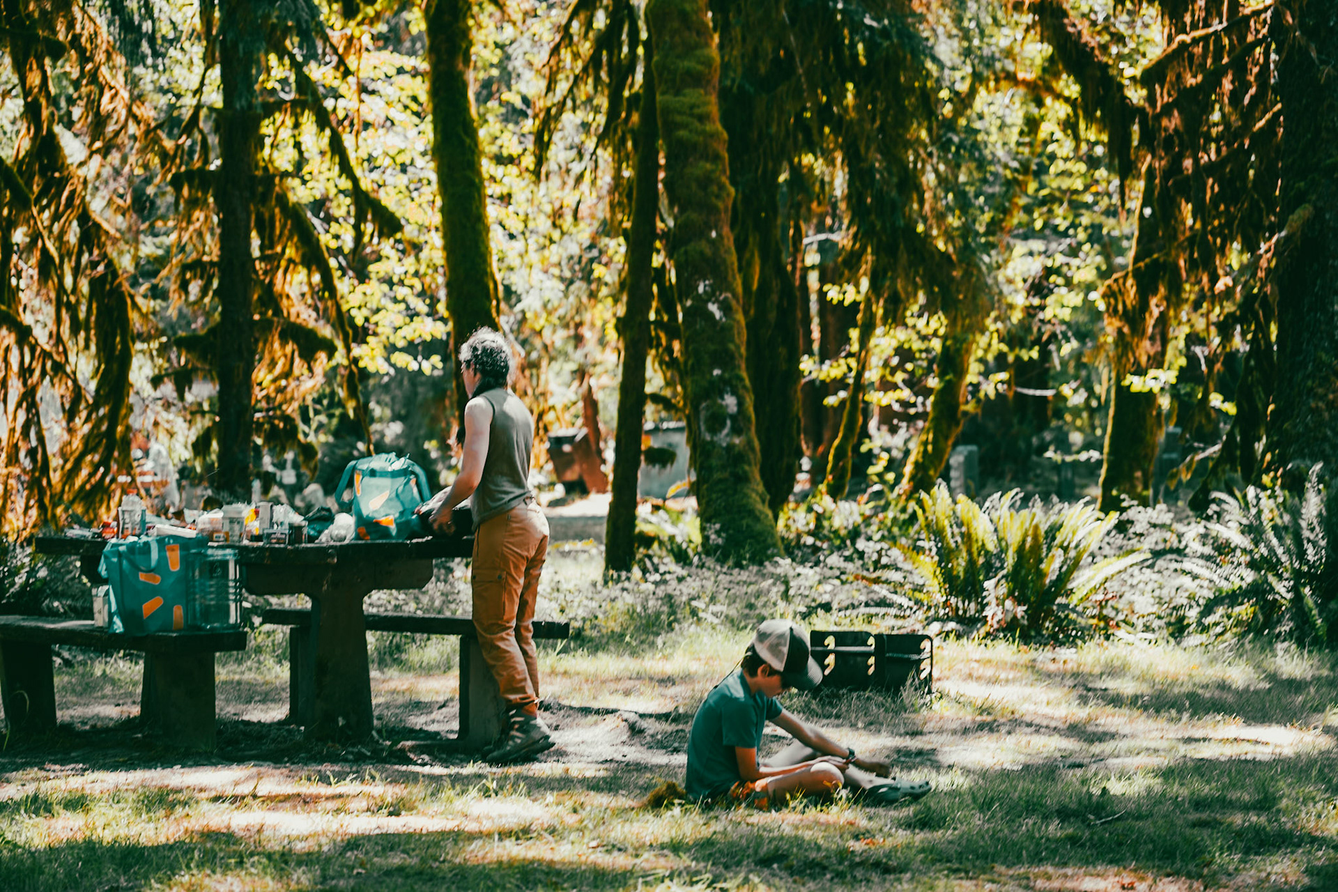 Picnic