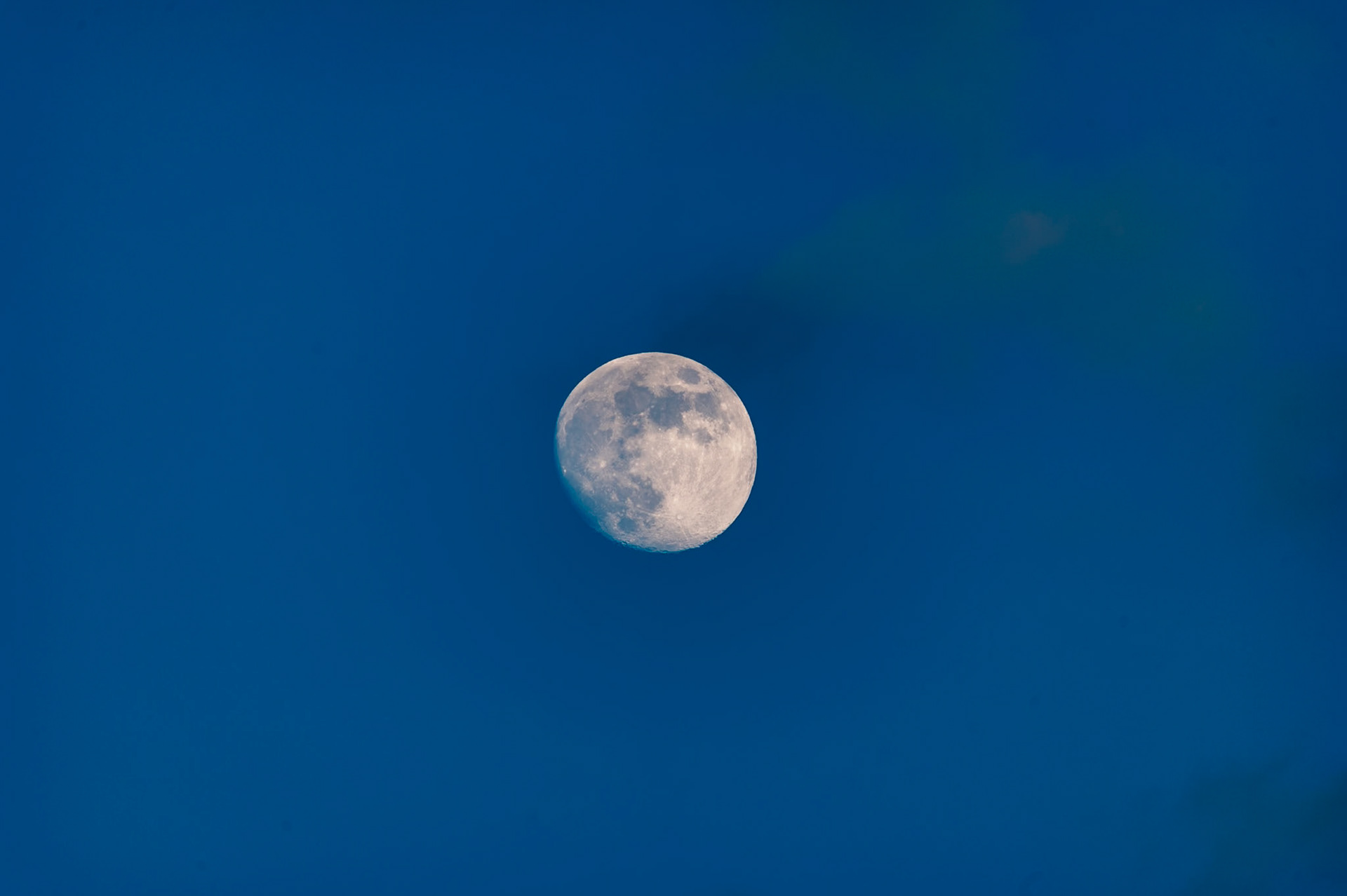 moonshot