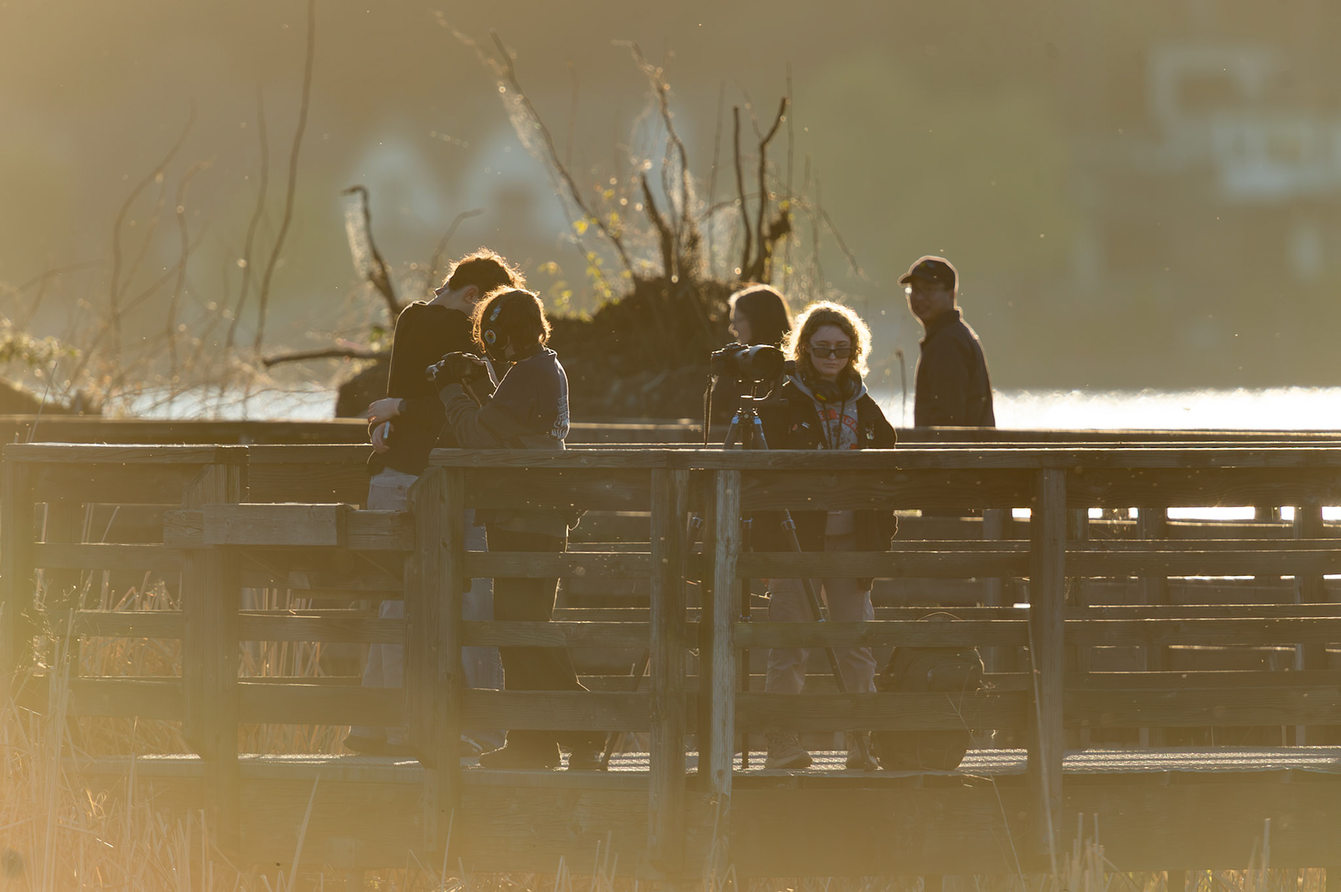 Birders and Photographers