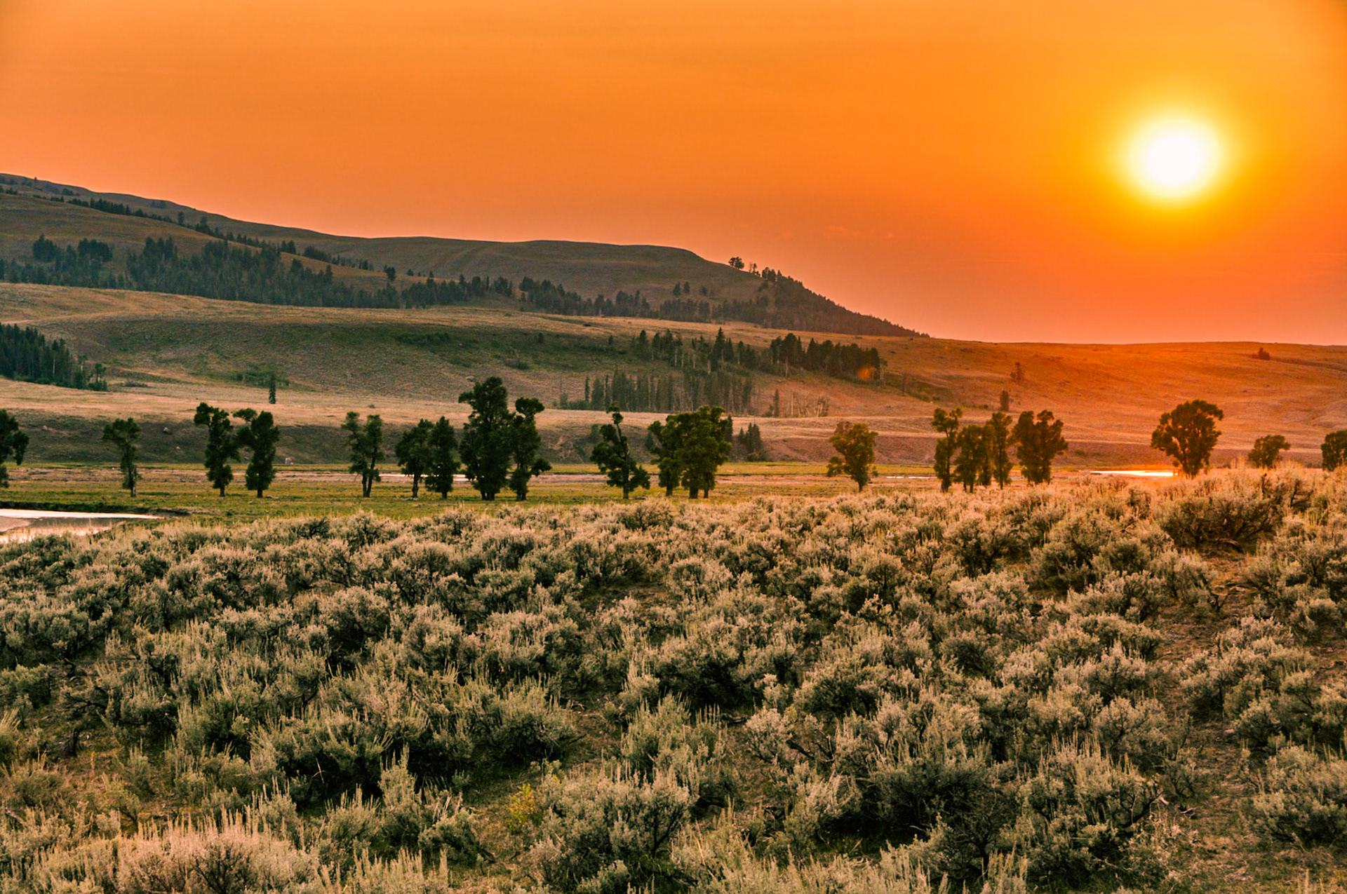 Yellowstone National Park