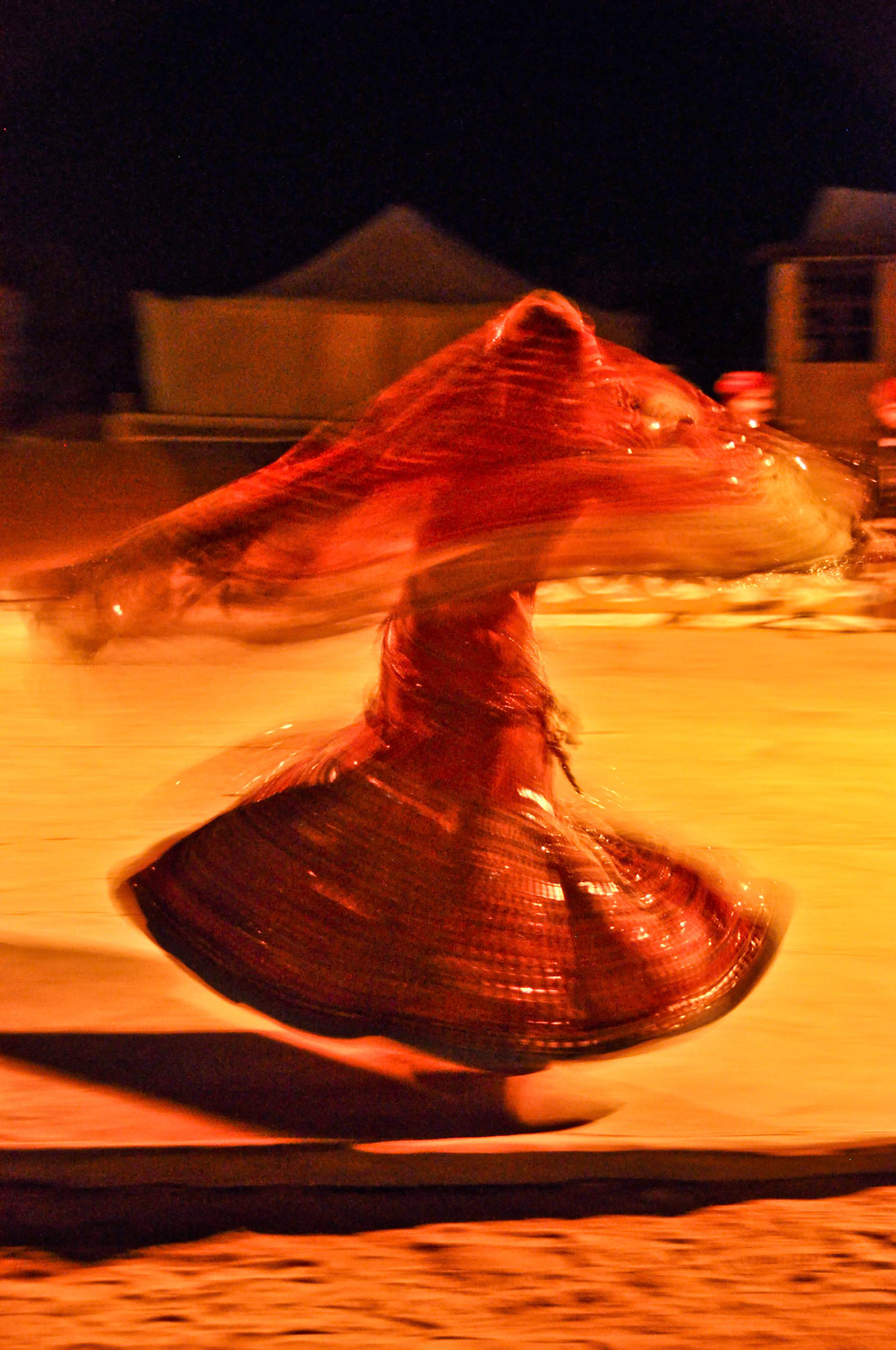 Rajasthani Dancer