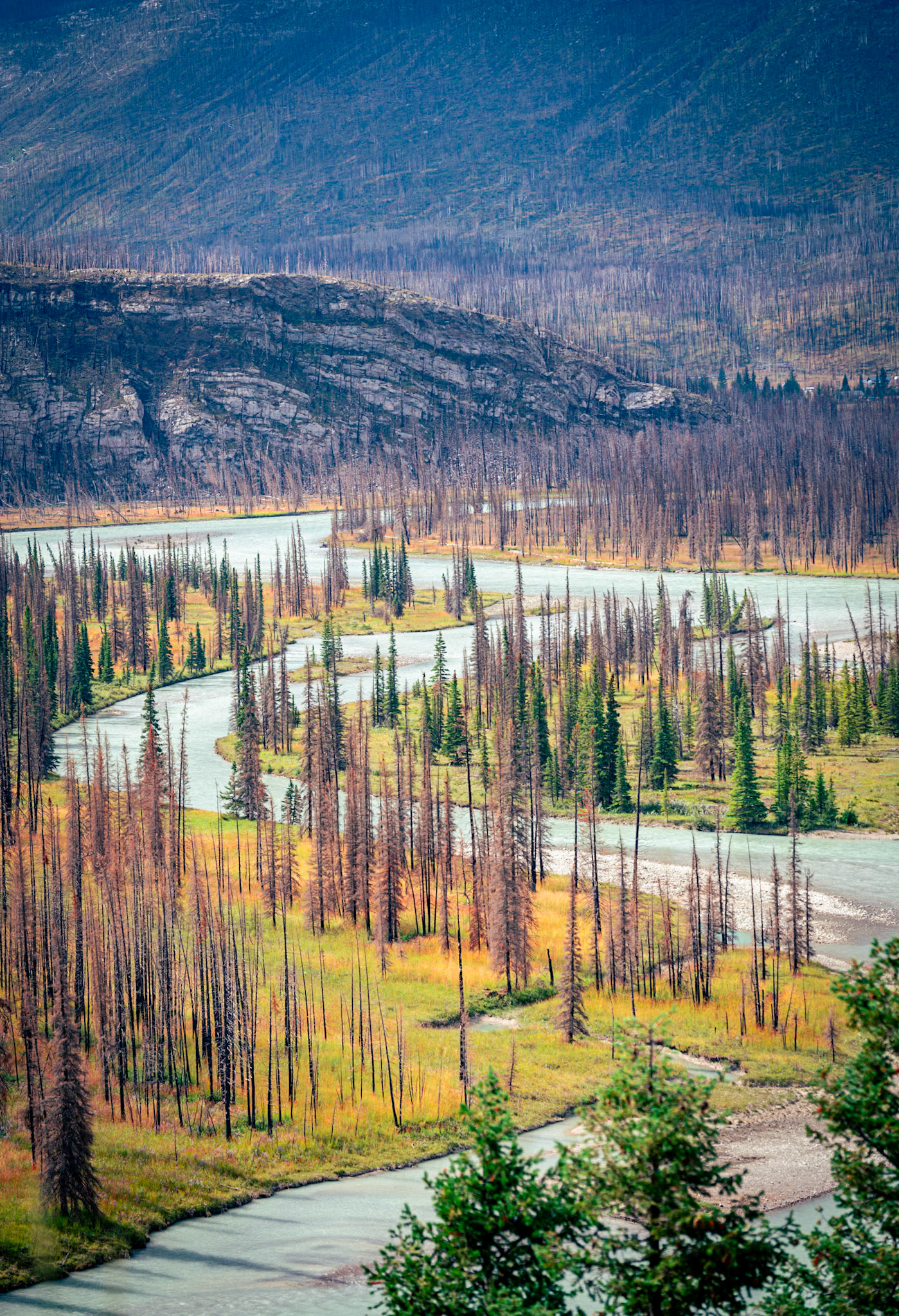 Jasper Alberta