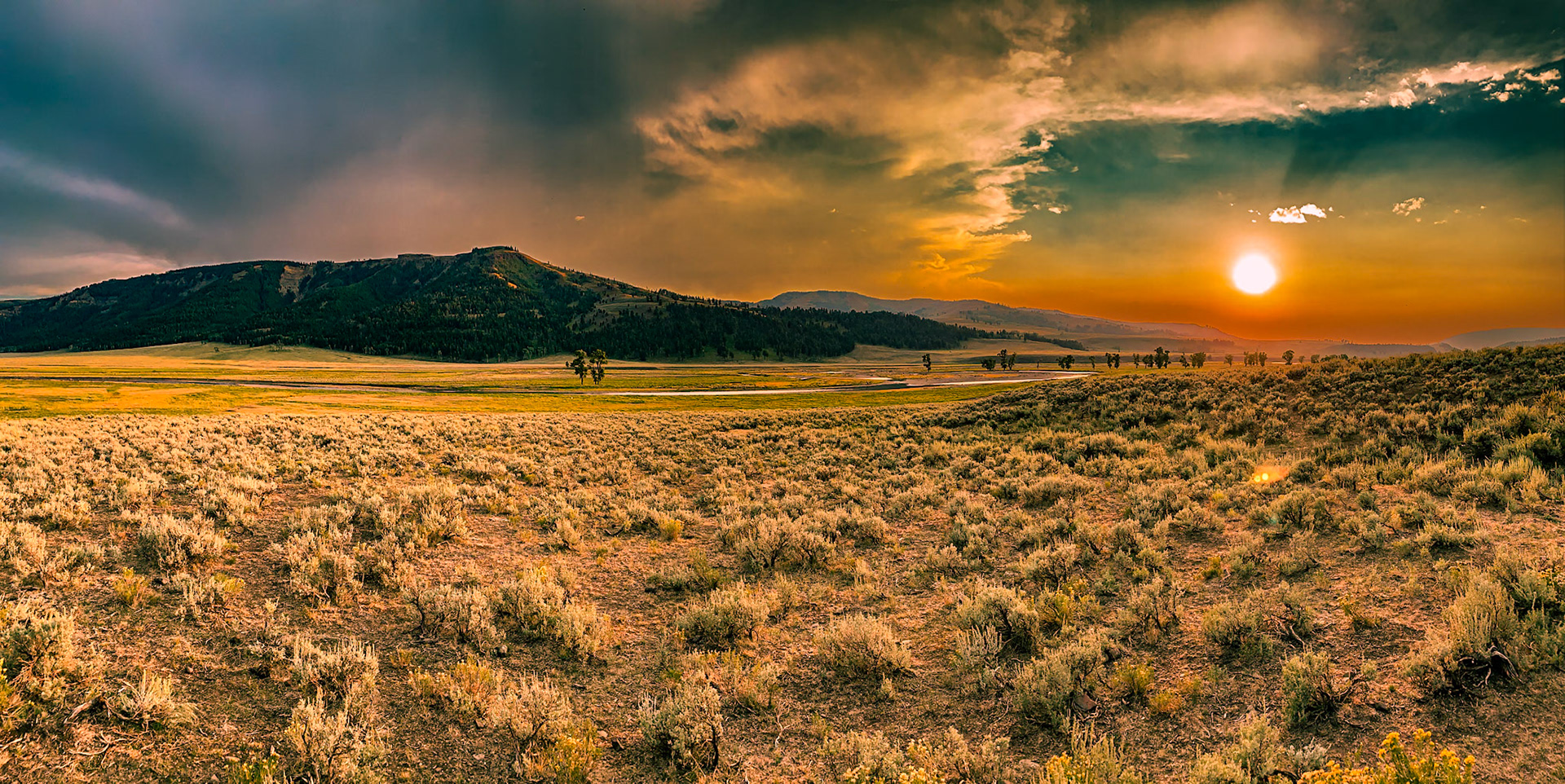 Yellowstone National Park