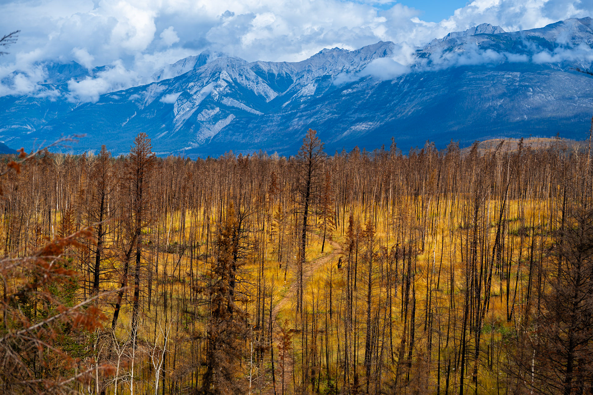 Jasper Alberta