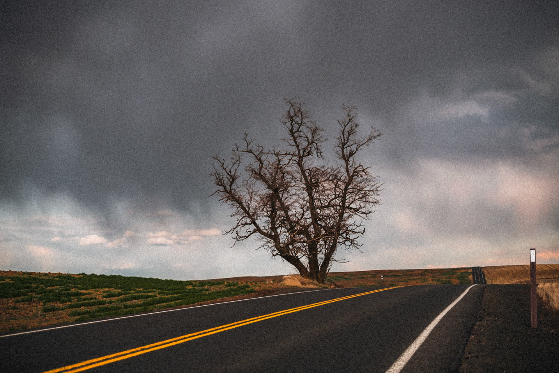 Road in Eastern Washington