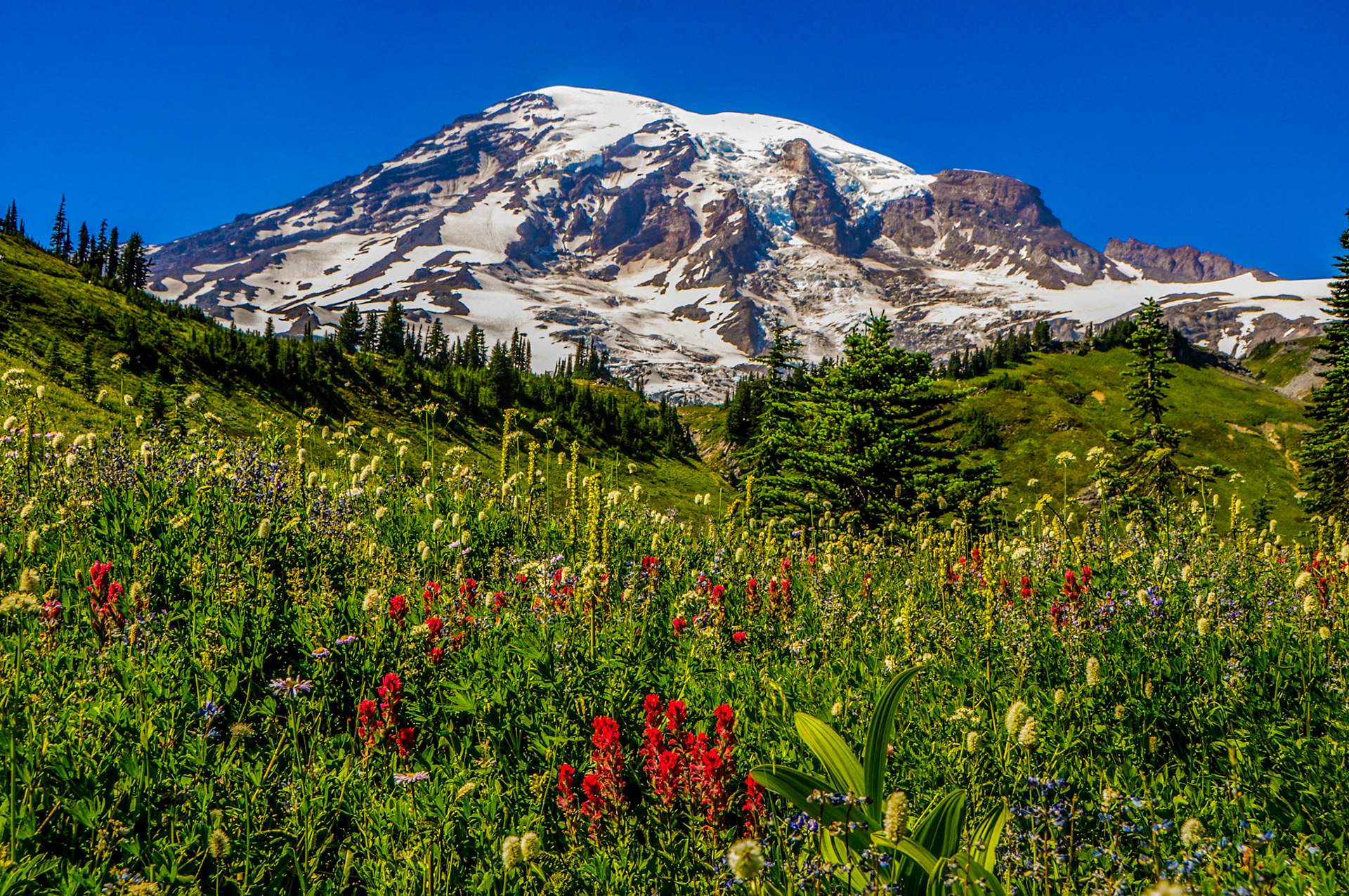 Mt Rainier