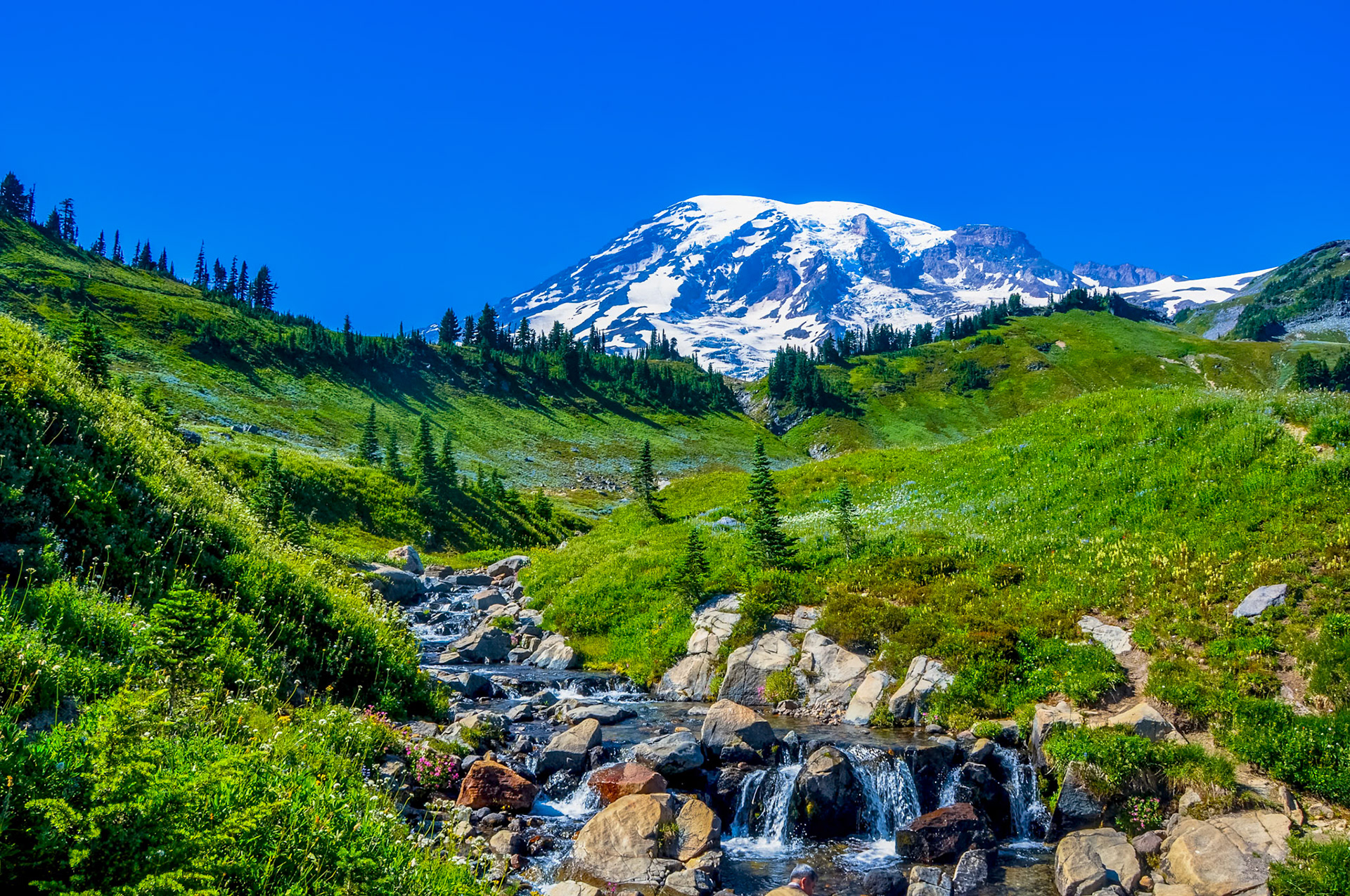 Mt Rainier