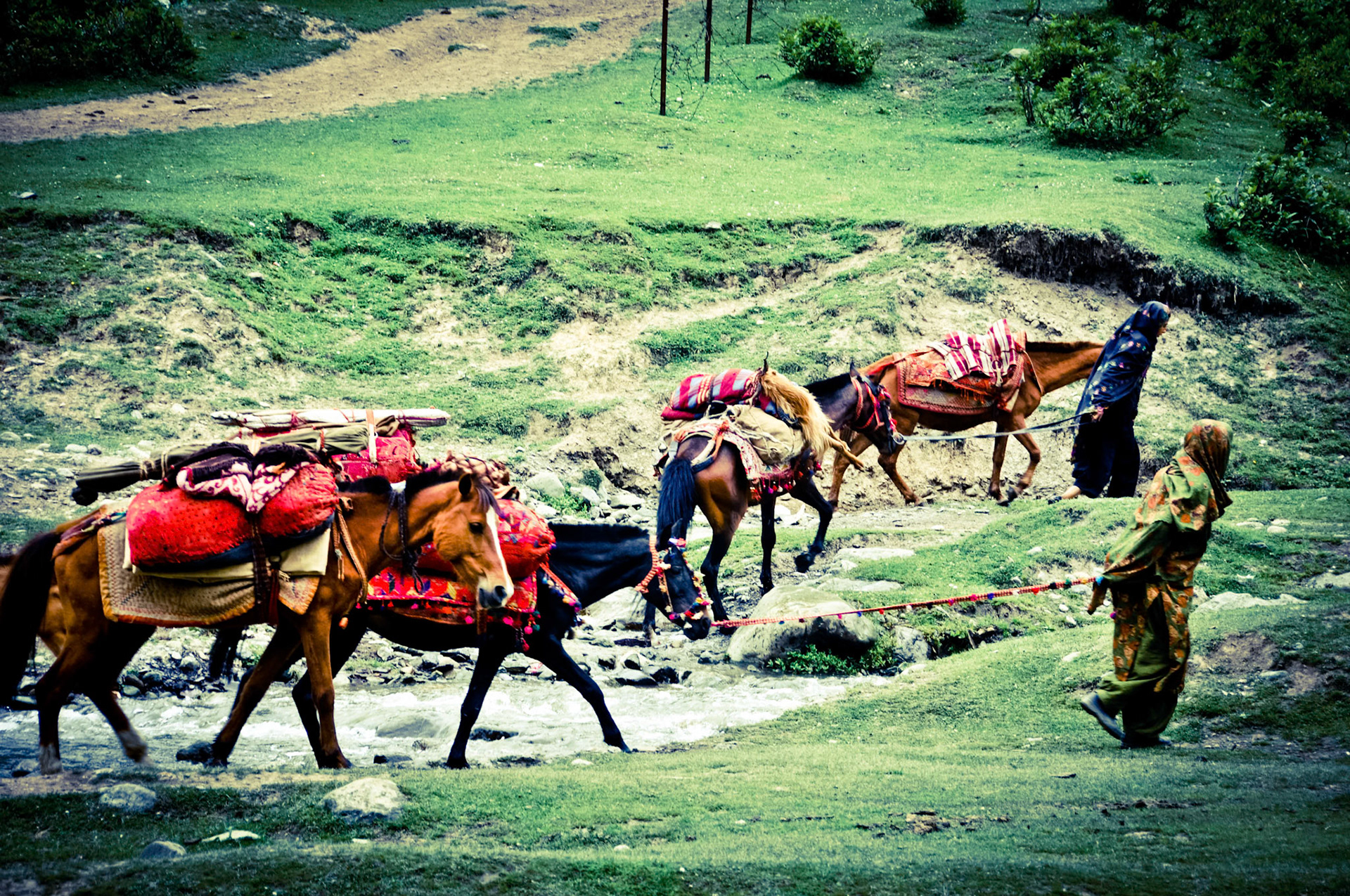 Nomads in Kashmir Valley
