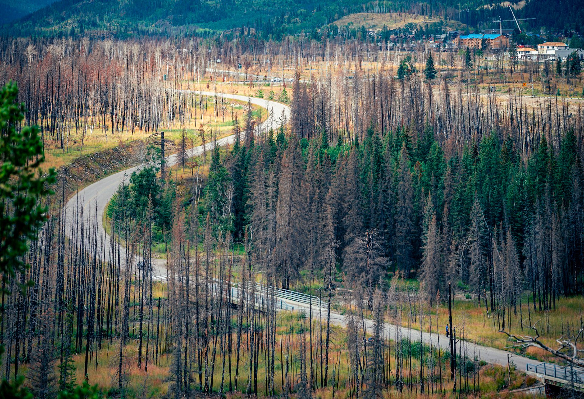 Jasper Alberta