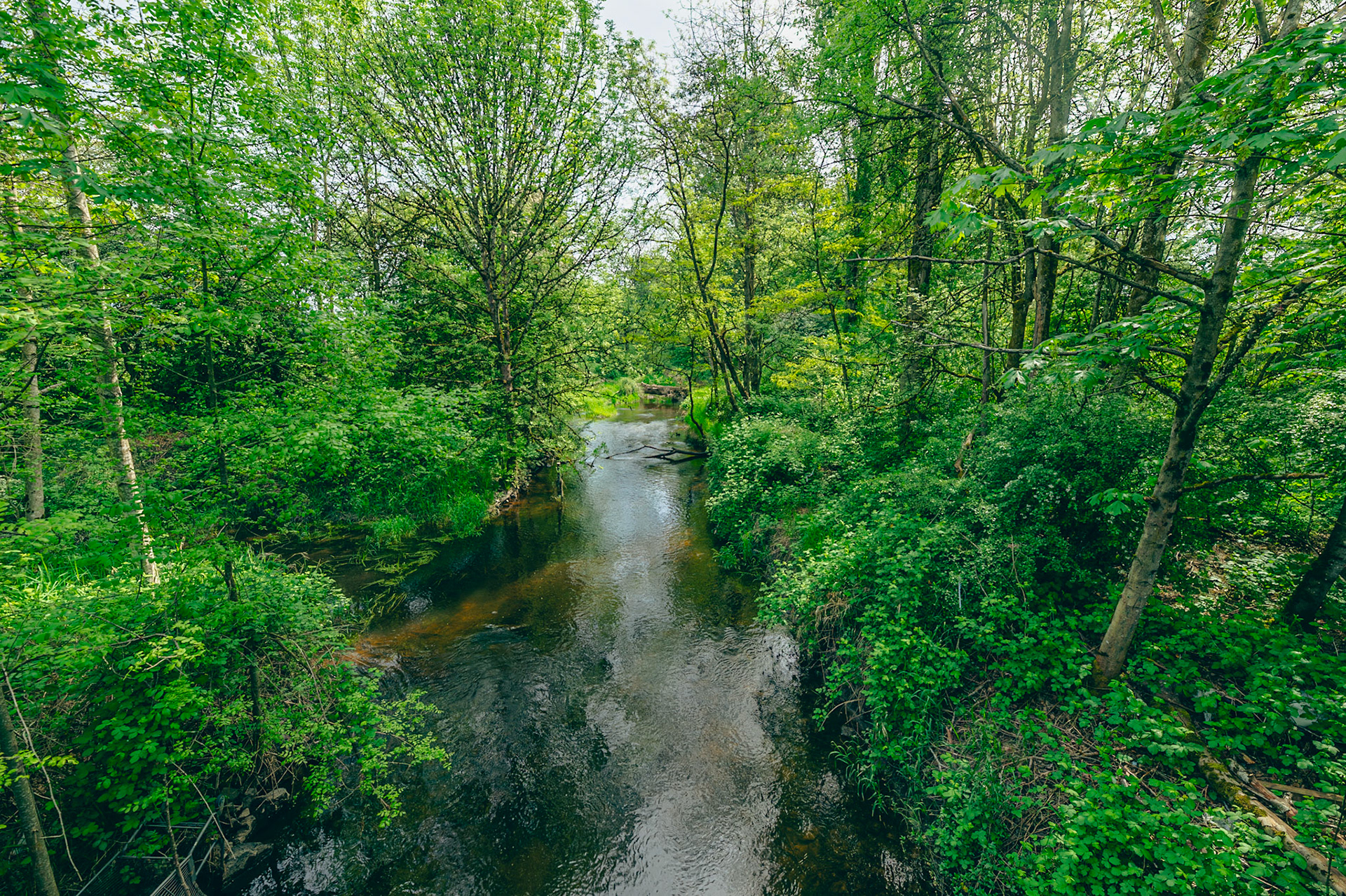 Redmond View