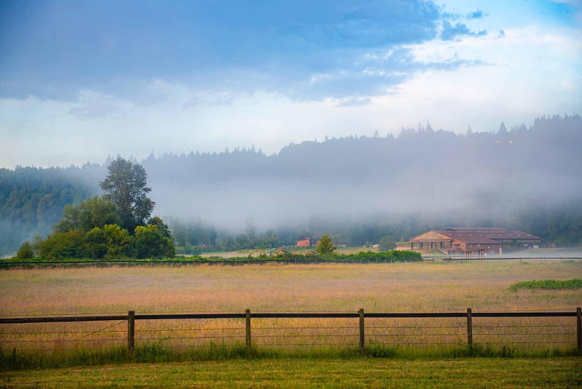 Early morning in Redmond
