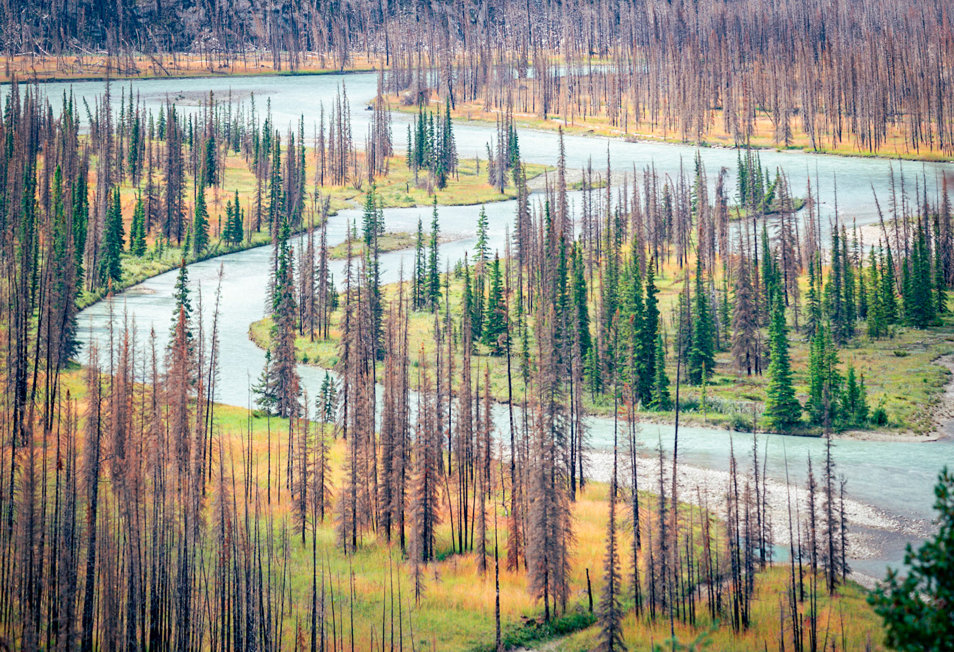 Jasper Alberta