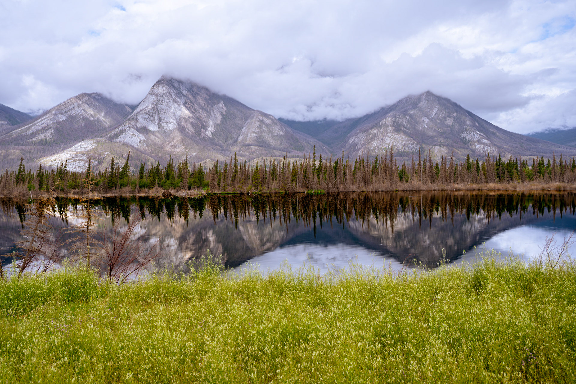 Jasper Alberta