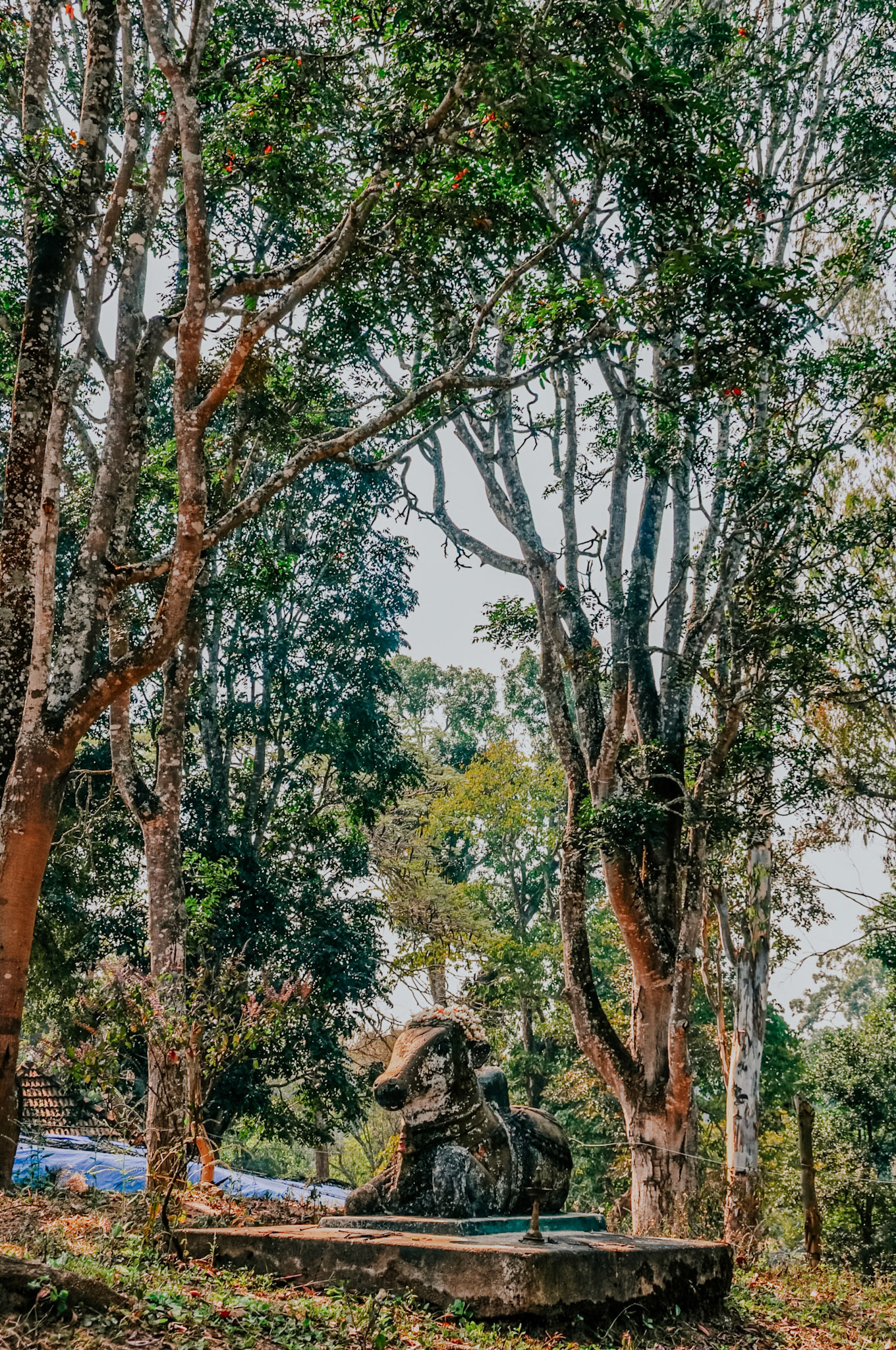 Nandi