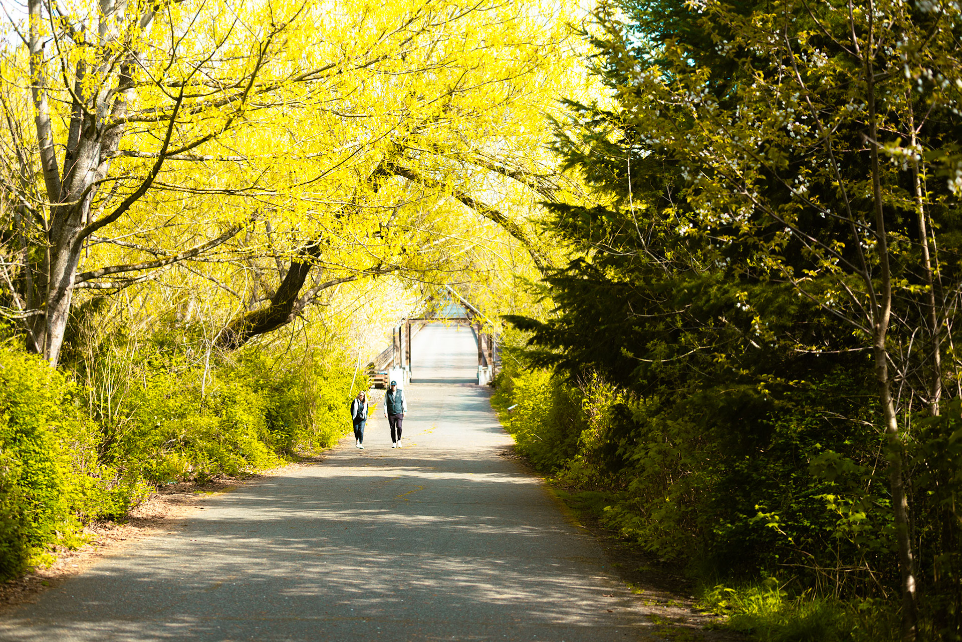 Juanita Bay Park
