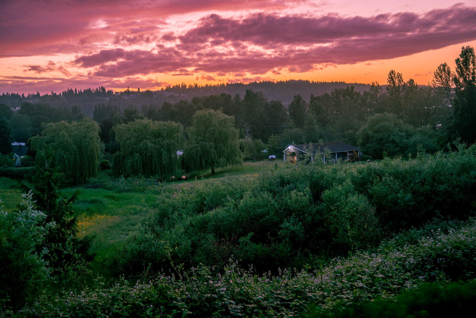 Sunset in Redmond
