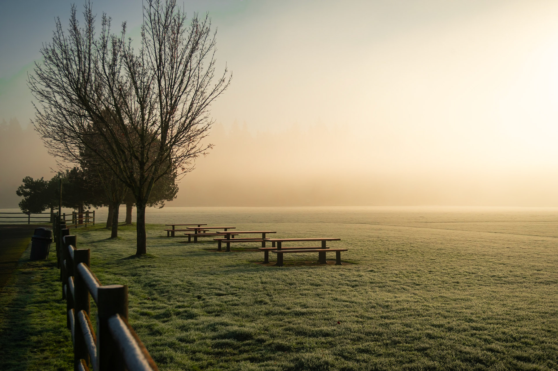 Fog at Sixty Acres