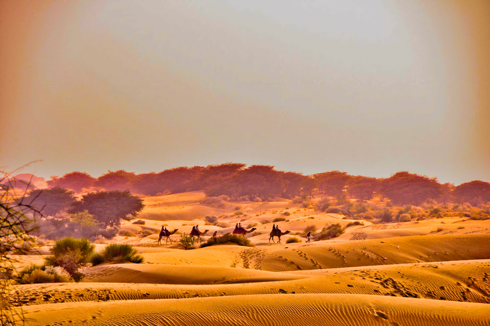 Jaiselmer