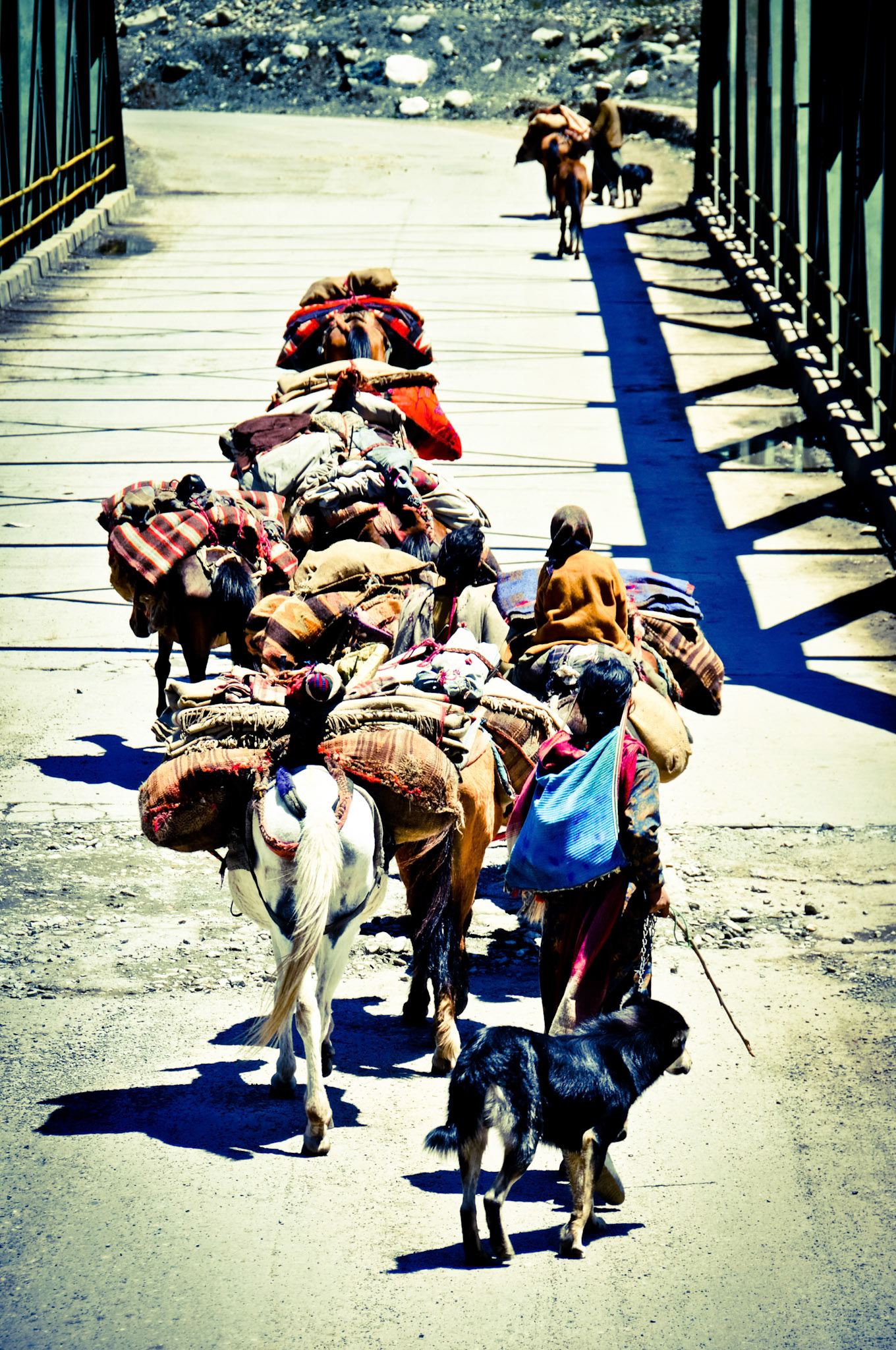 Nomads
