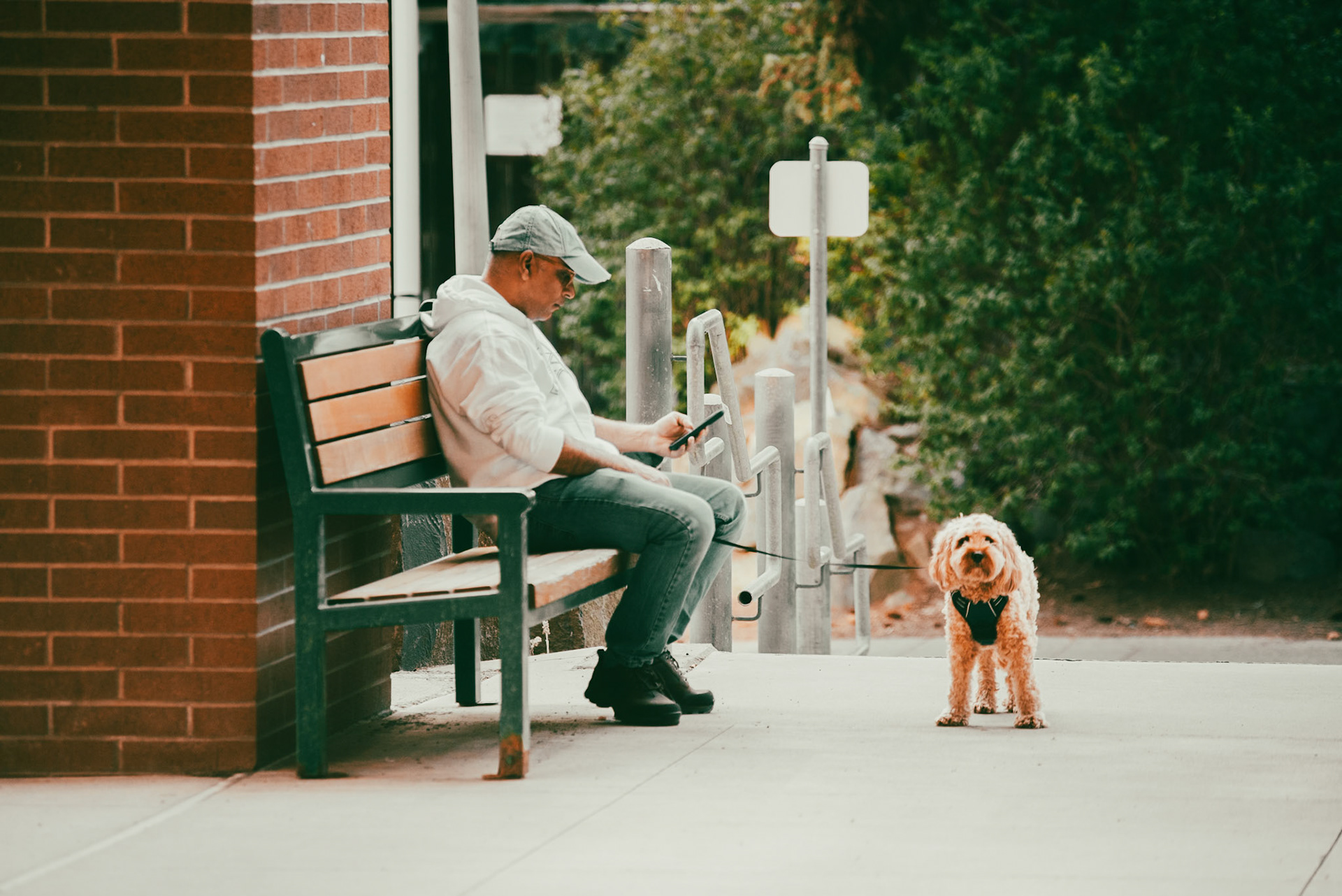 Man with his best friend