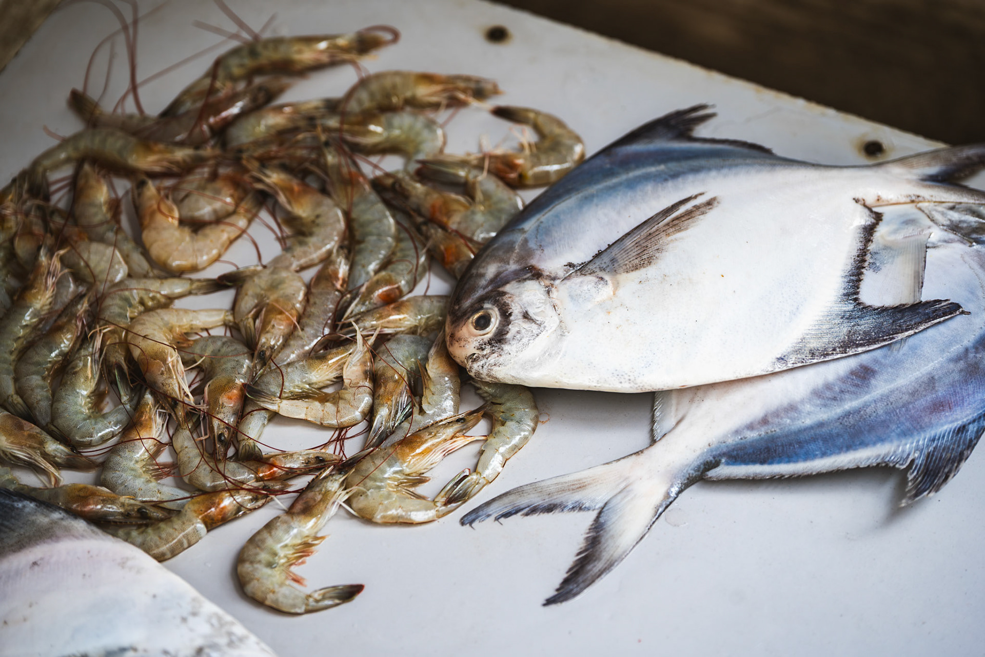 Pomphret and Prawns