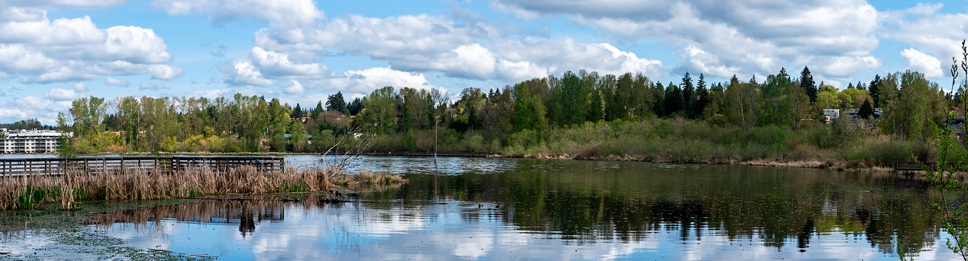 Juanita Bay Park