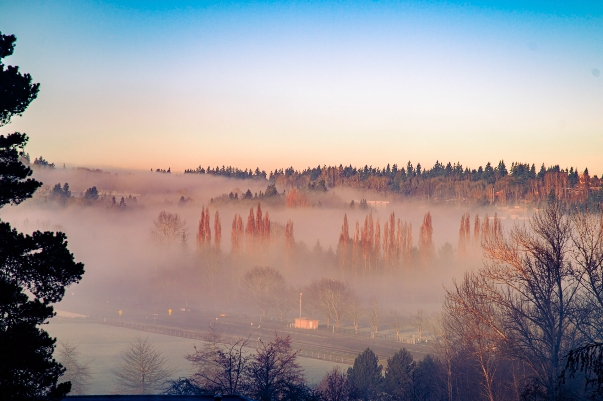 Rolling Fog in Redmond