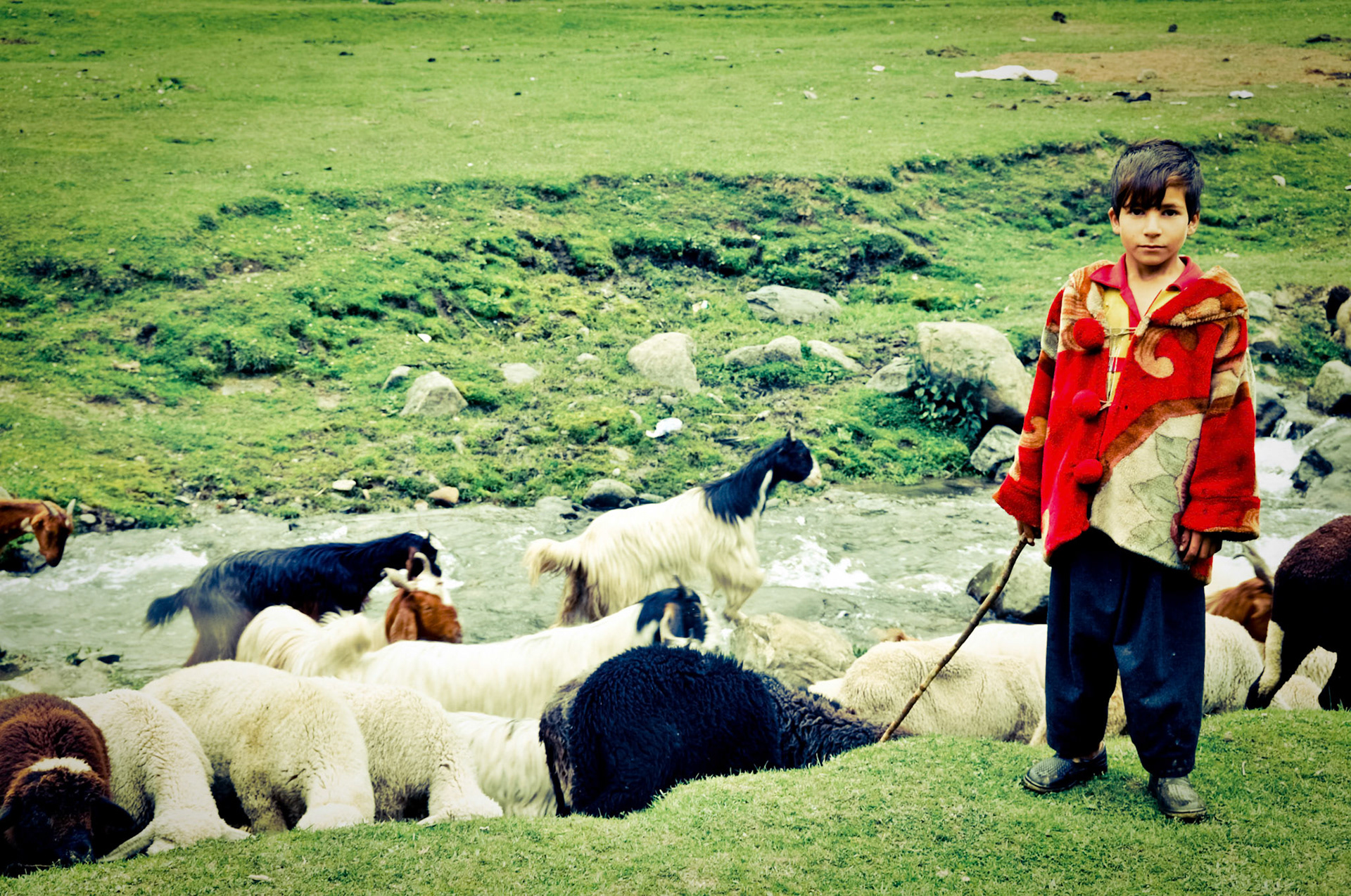 Boy in Kashmir