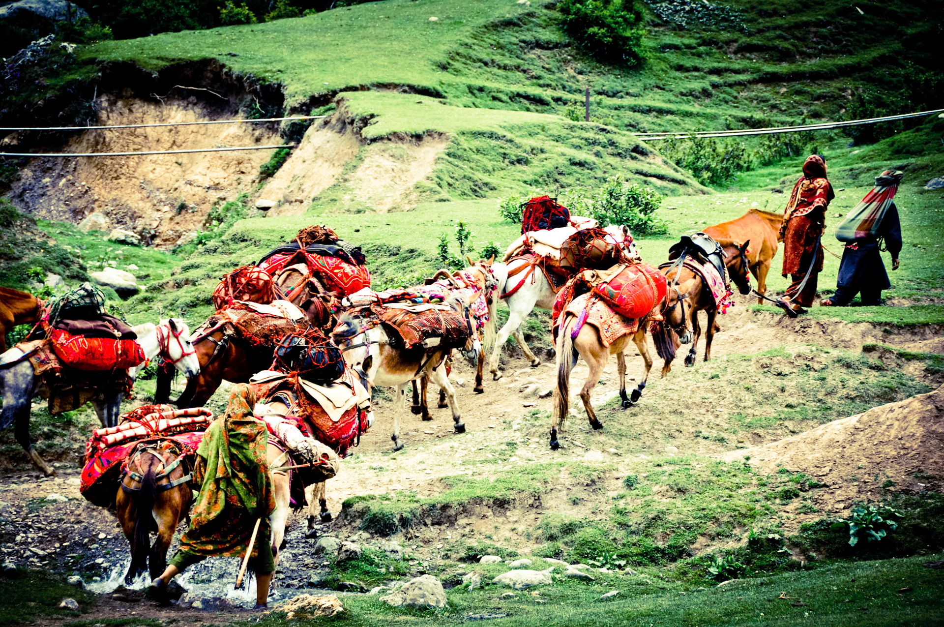 Nomads in Kashmir Valley