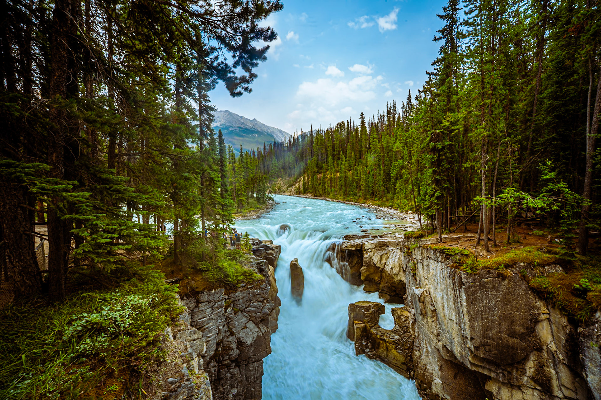 Sunwapta Falls