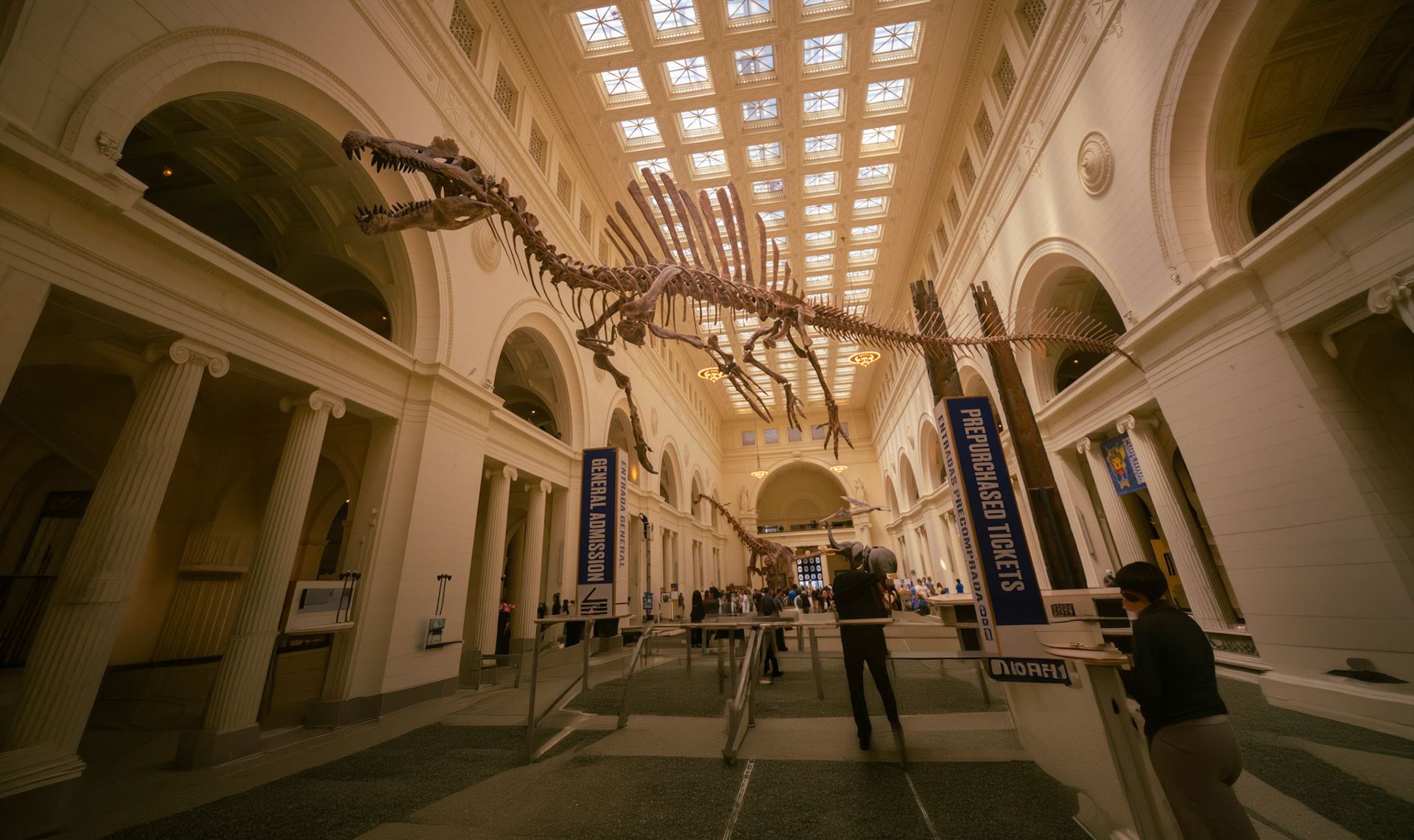 Field Museum in Chicago