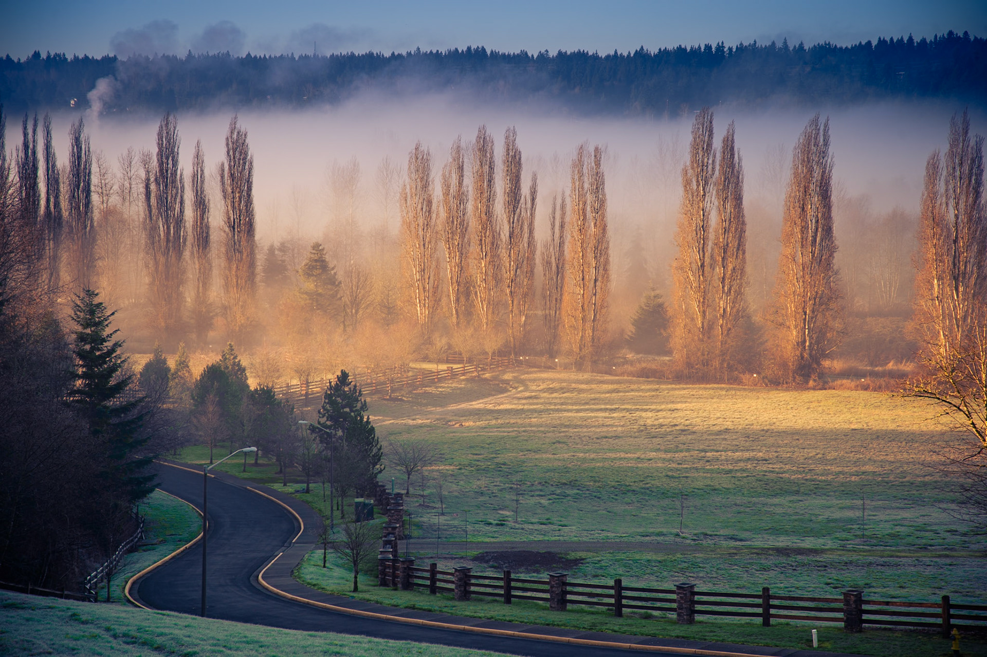Rolling Fog in Redmond