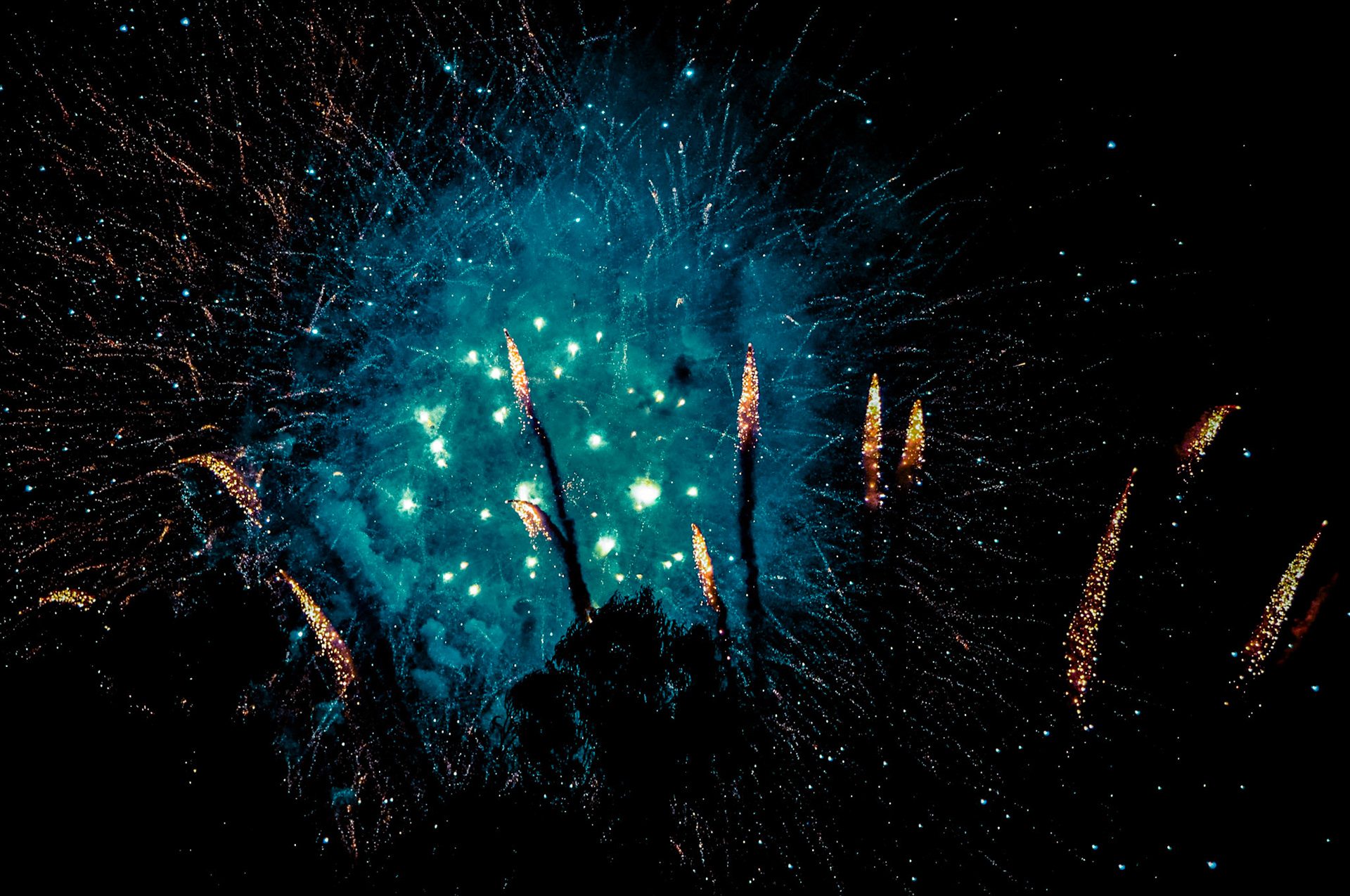 Disneyland