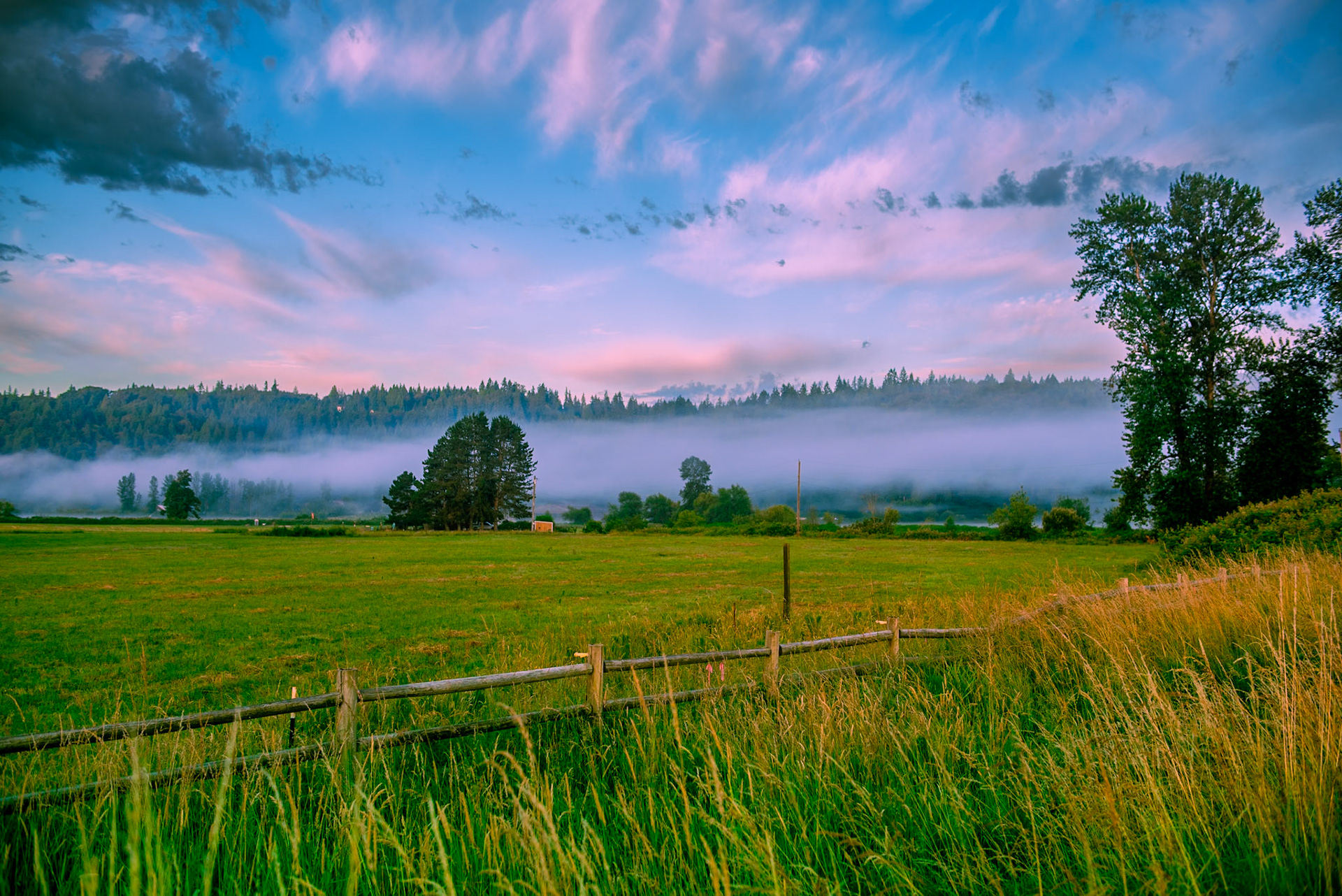 Early morning in Redmond
